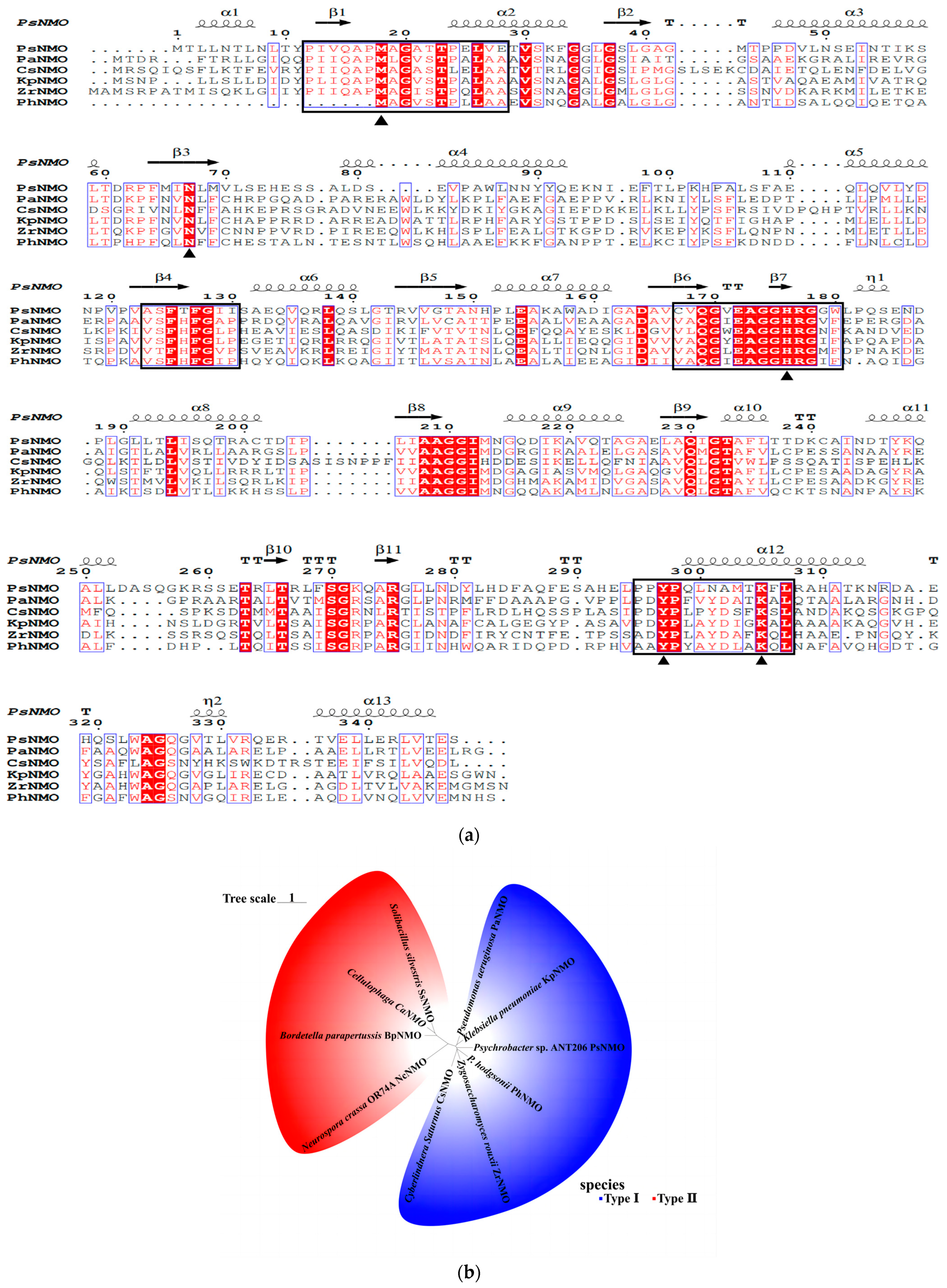 Microorganisms 12 02100 g001