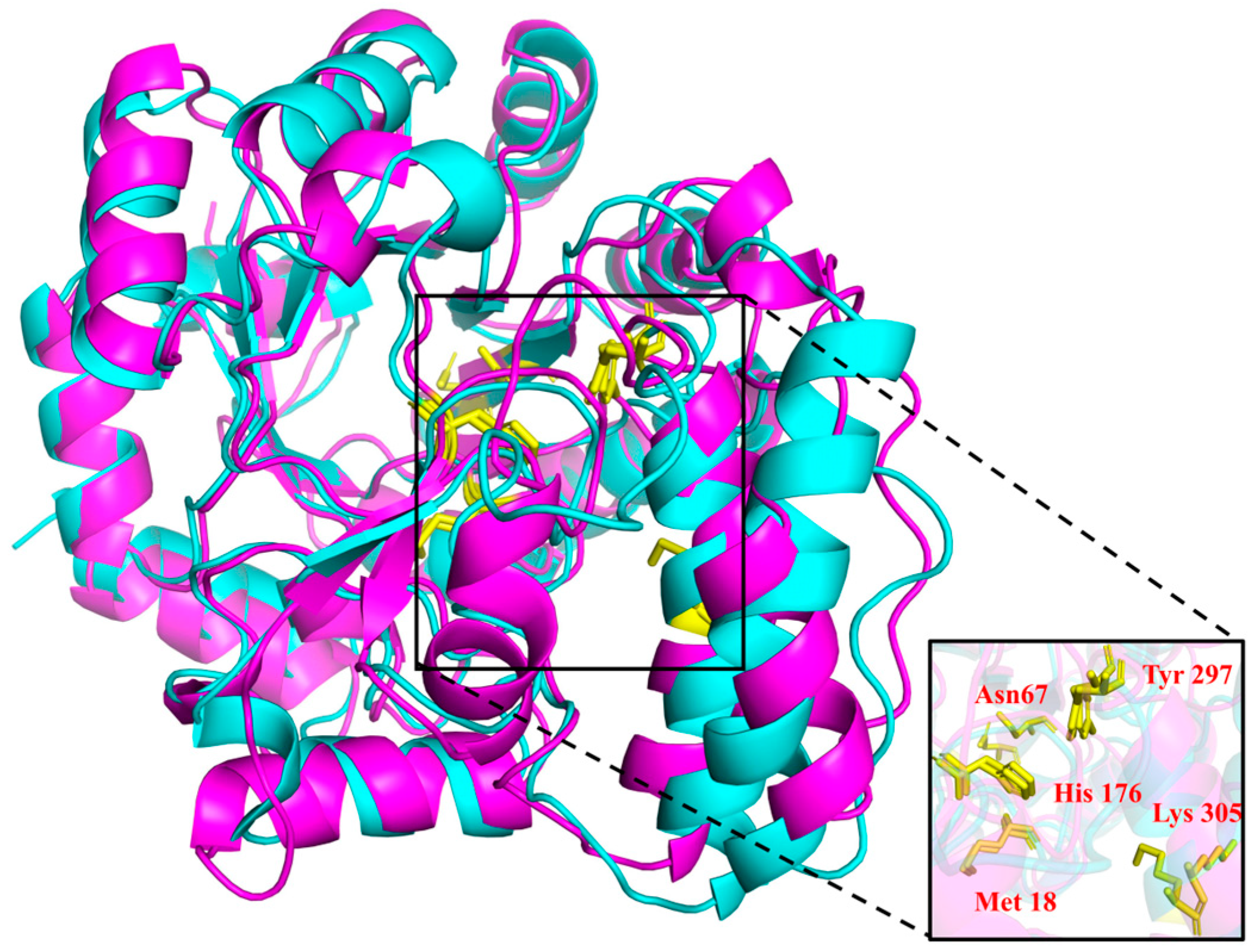 Microorganisms 12 02100 g002