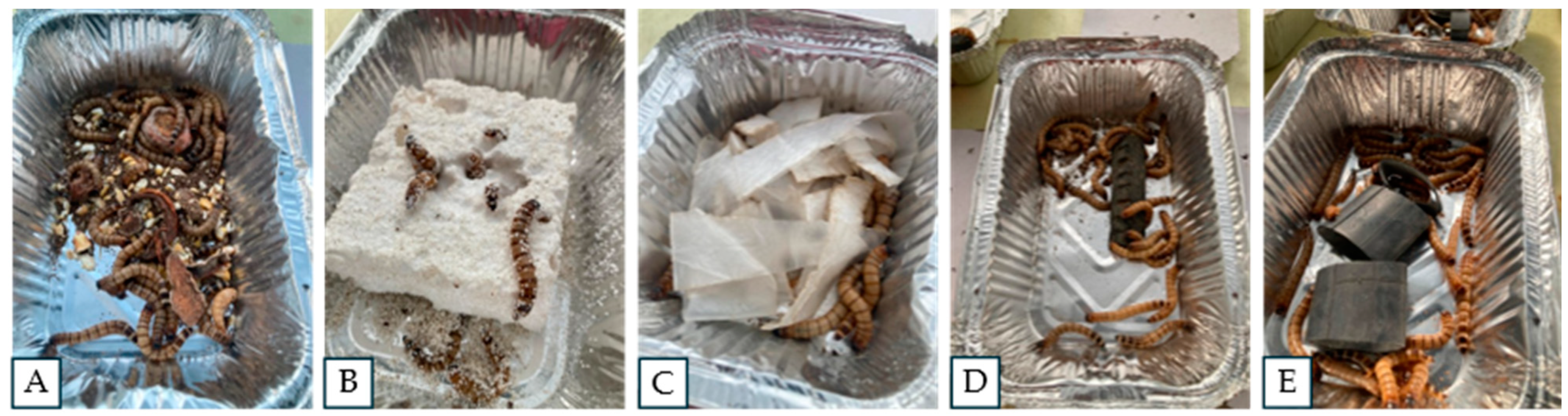 Microorganisms 12 02118 g001