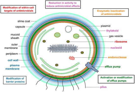 Microorganisms 12 02121 g001