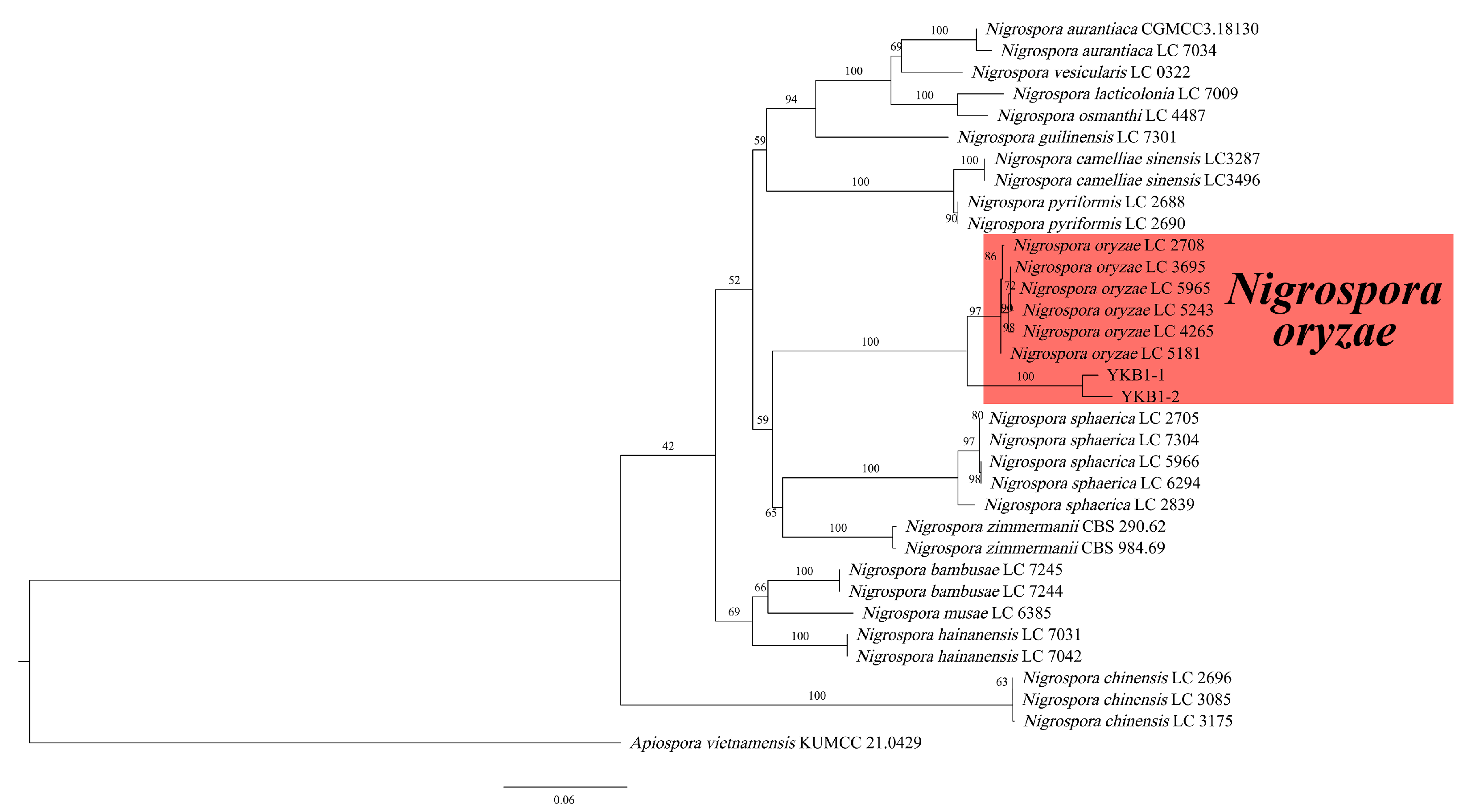 Microorganisms 12 02125 g005