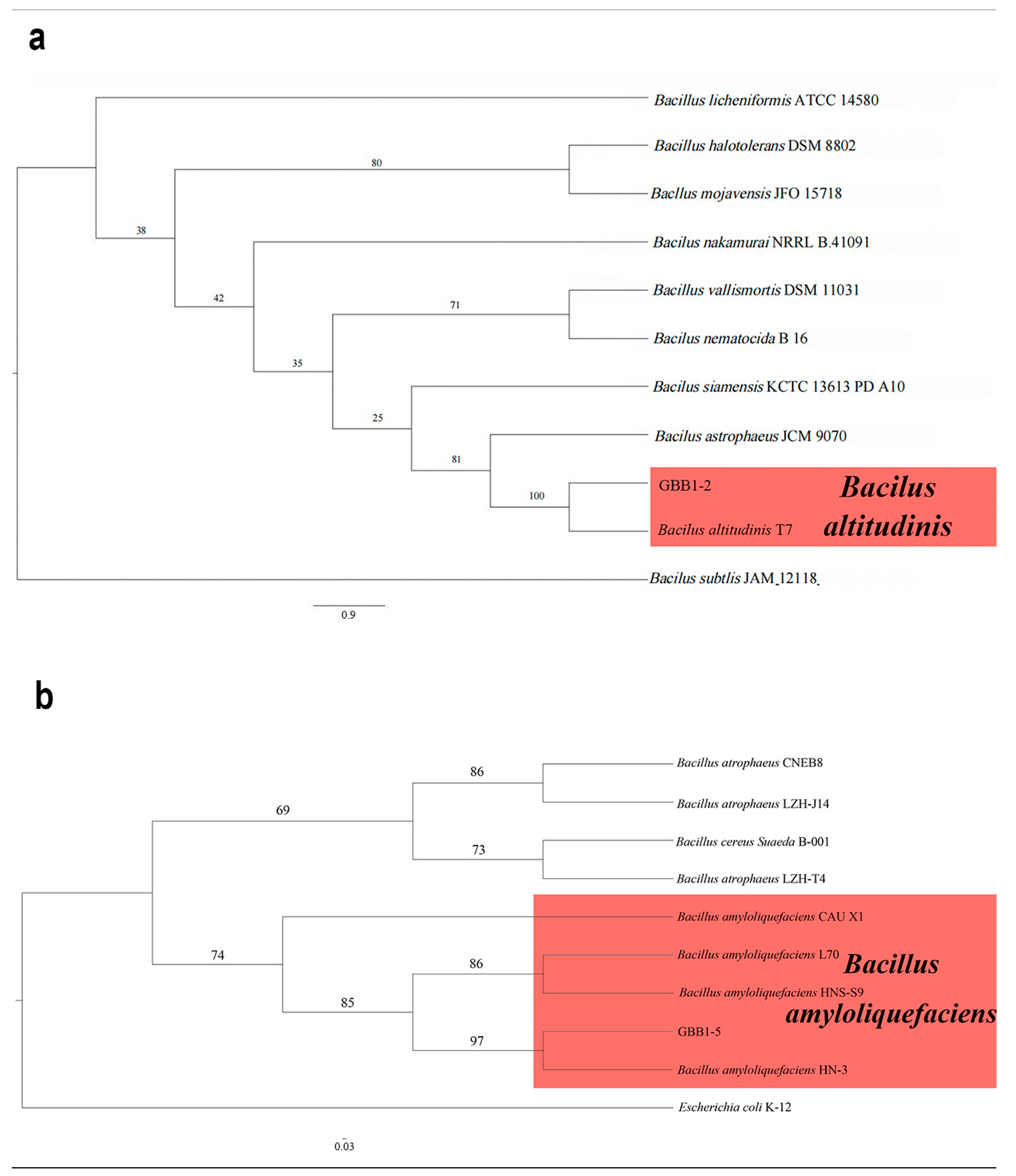 Microorganisms 12 02125 g007