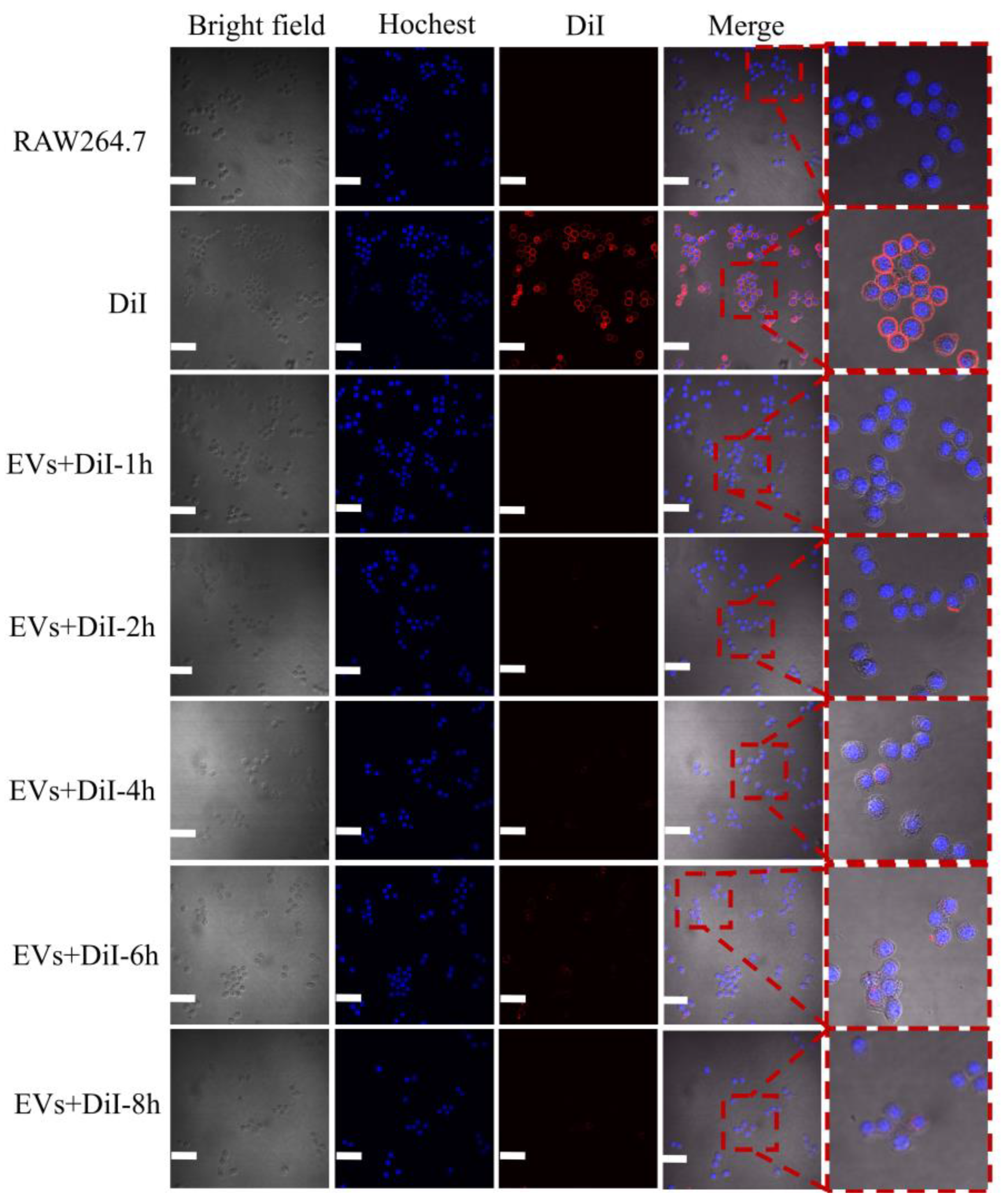 Microorganisms 12 02129 g004