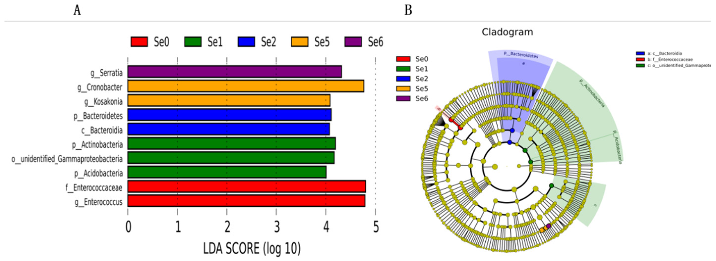 Microorganisms 12 02144 g006