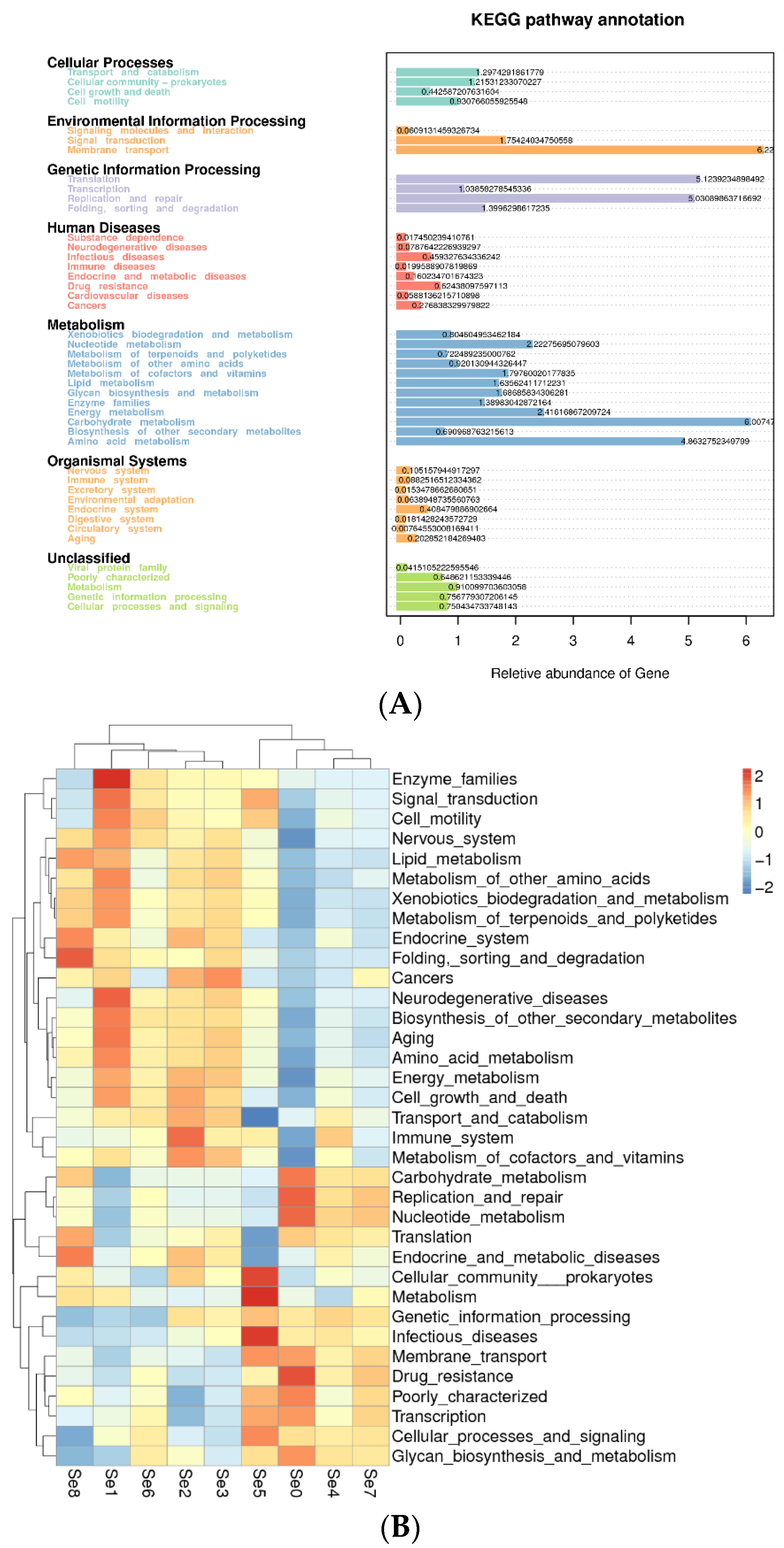 Microorganisms 12 02144 g008