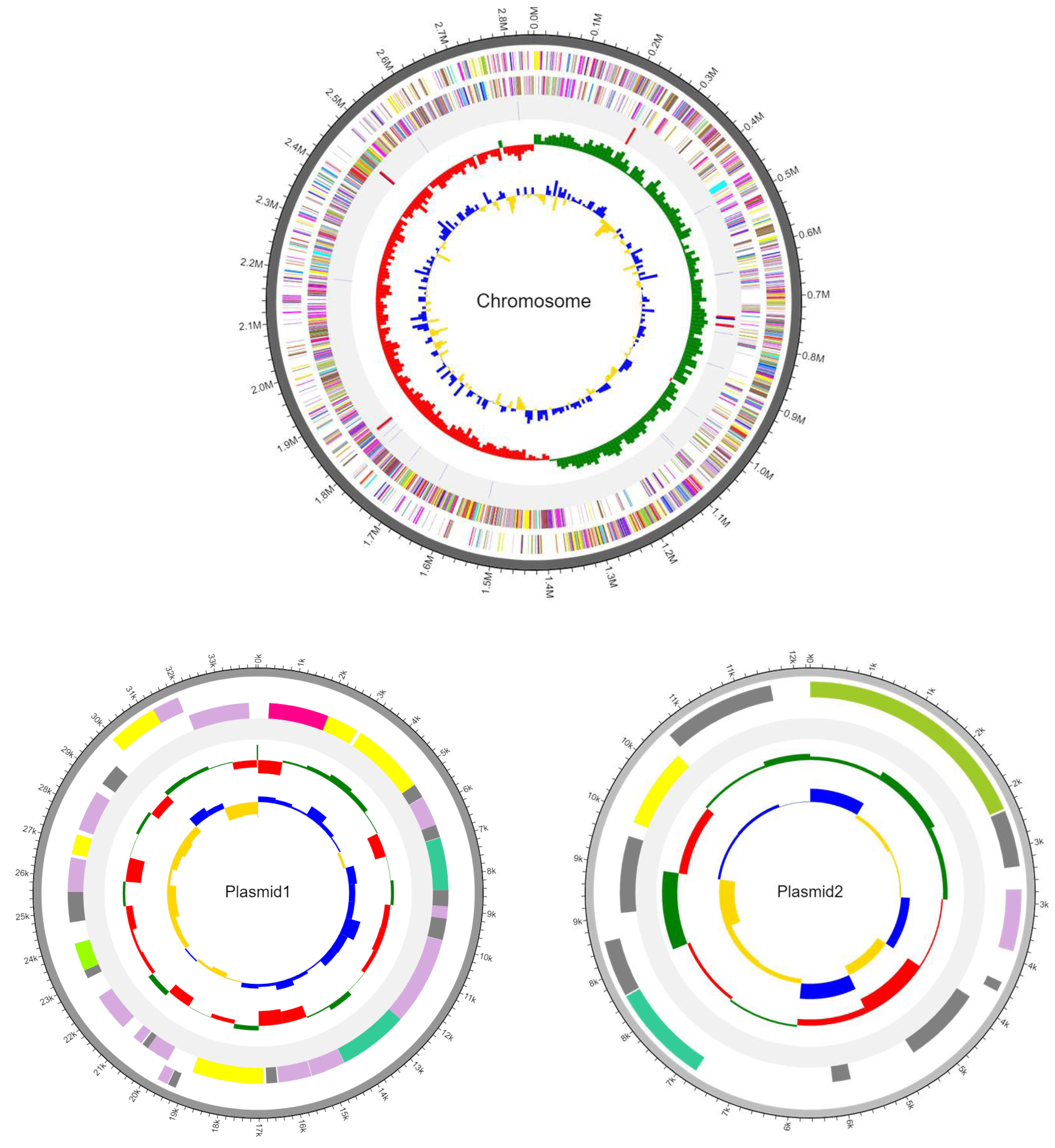 Microorganisms 12 02147 g001