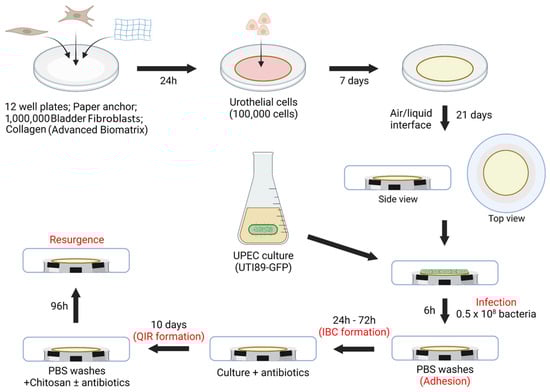 Microorganisms 12 02155 g002