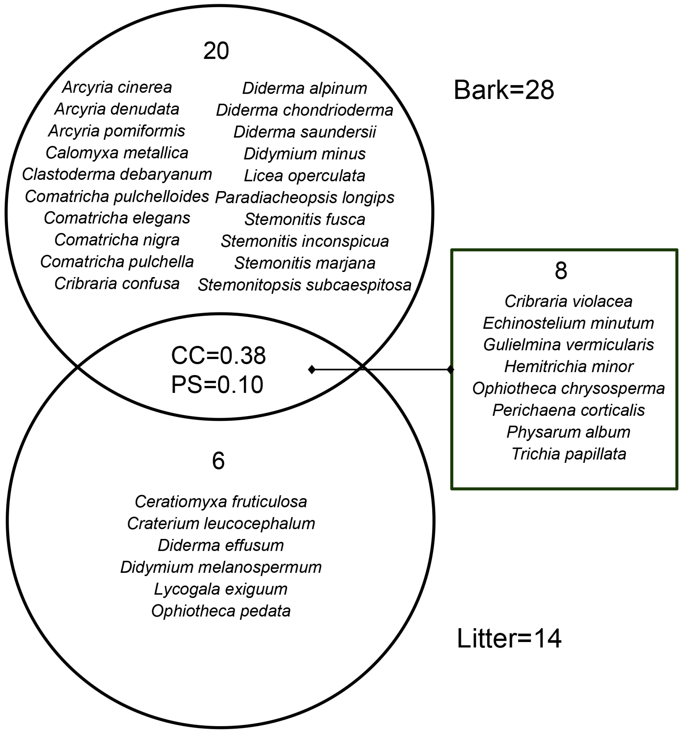 Microorganisms 12 02156 g002