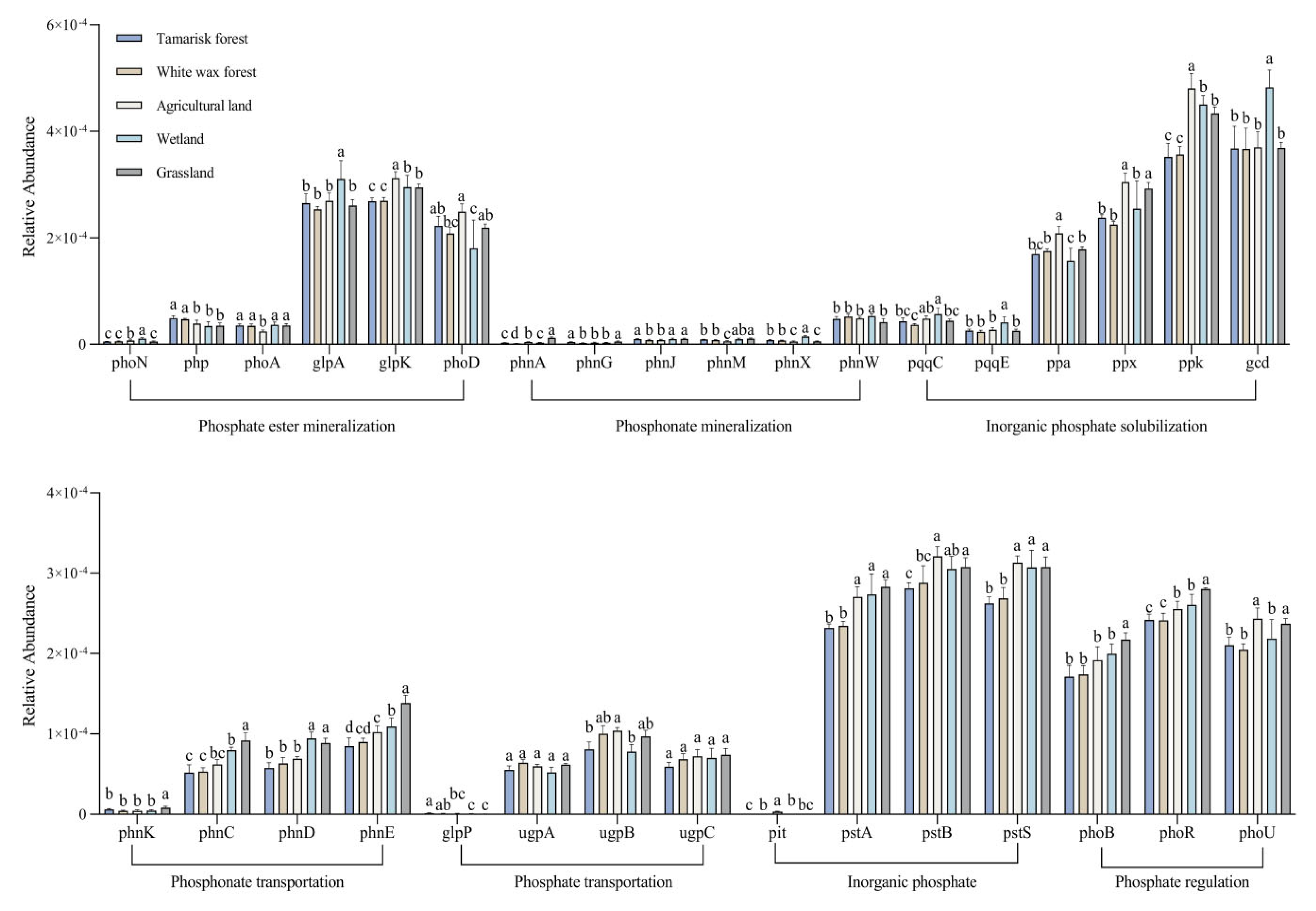 Microorganisms 12 02194 g004
