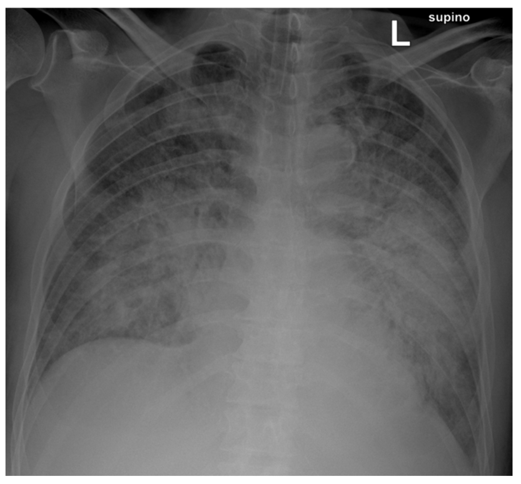 Microorganisms 12 02201 g001 Microorganisms 12 02201 g001