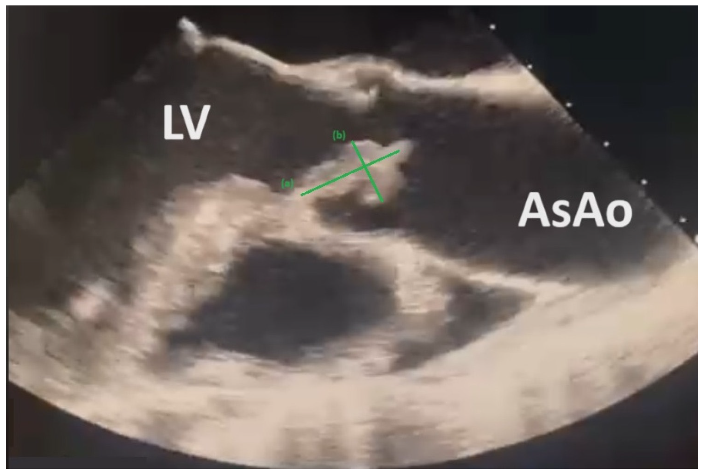 Microorganisms 12 02201 g002 Microorganisms 12 02201 g002