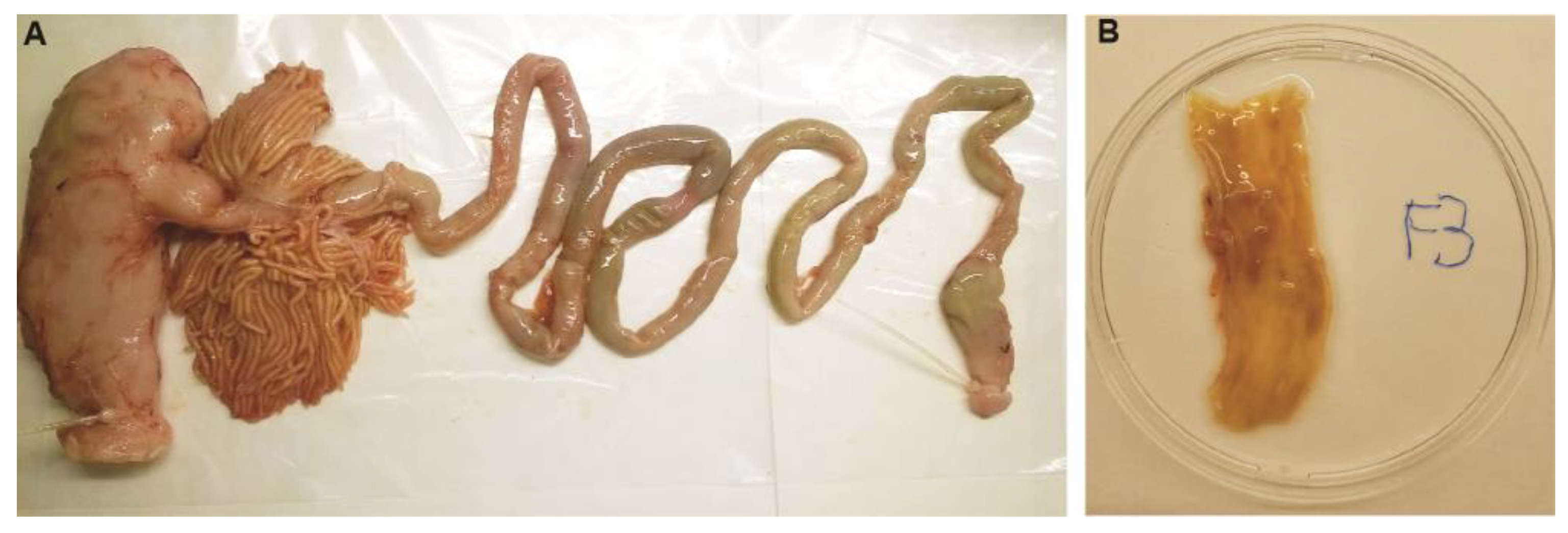 Microorganisms 12 02204 g001