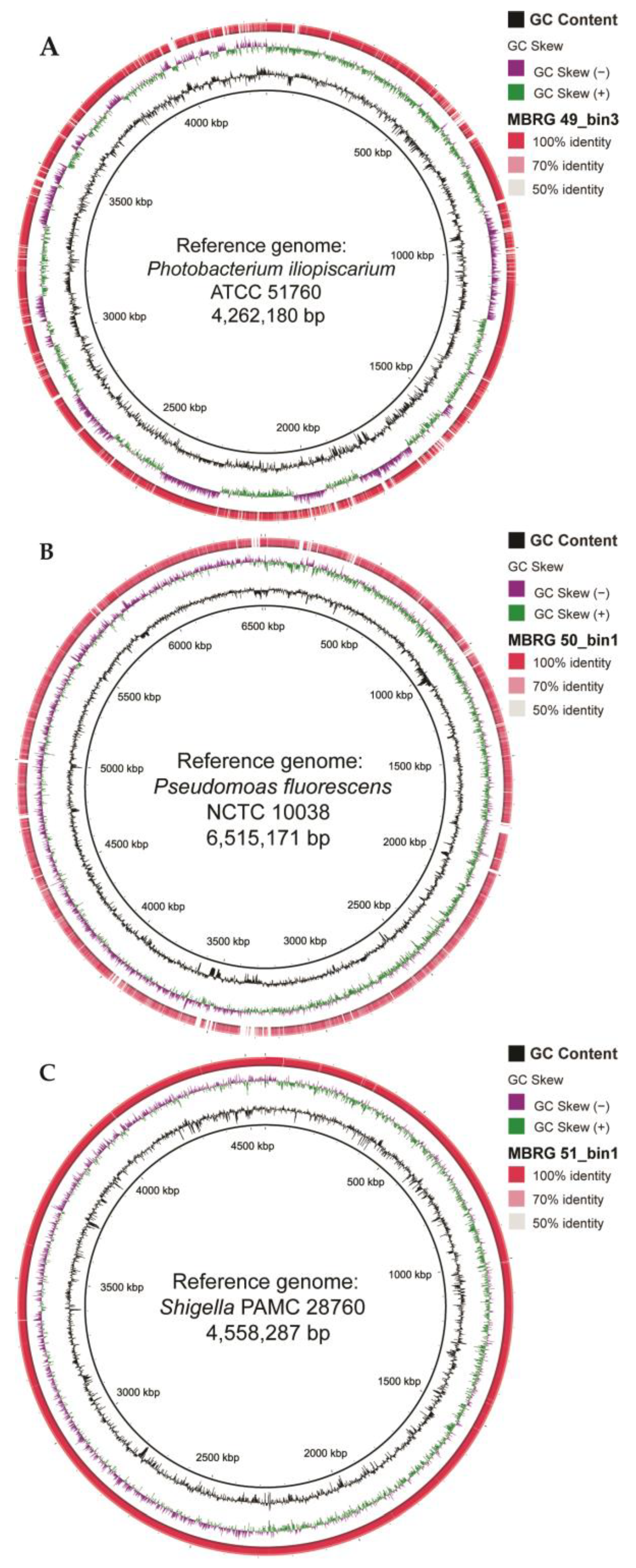 Microorganisms 12 02204 g004