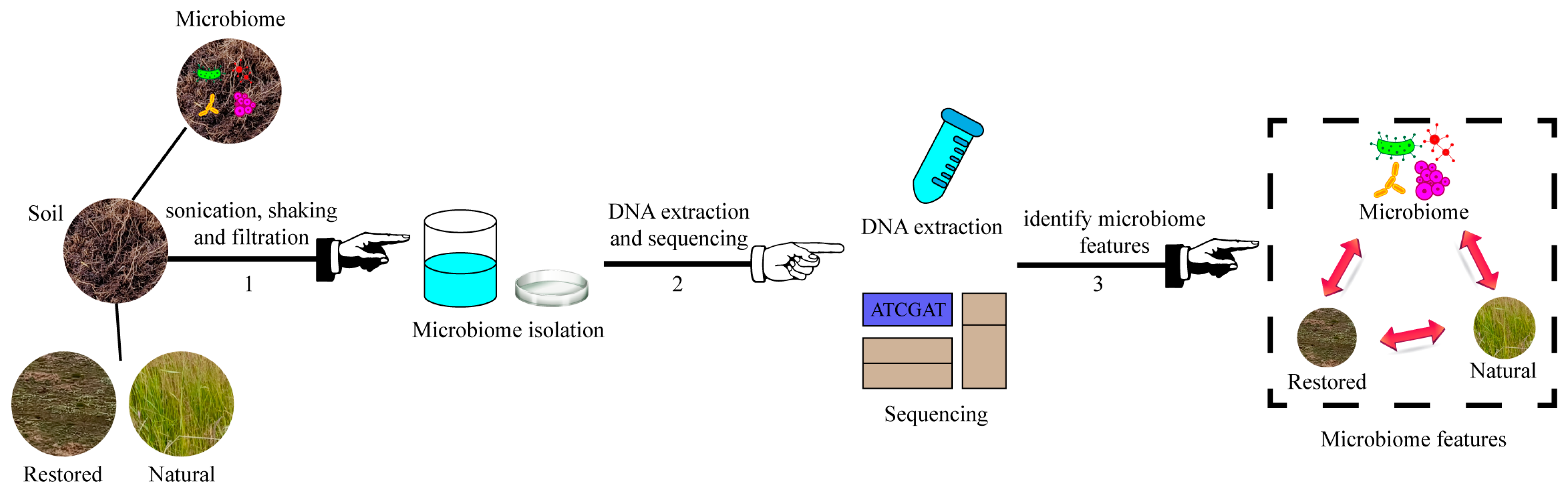 Microorganisms 12 02222 g001