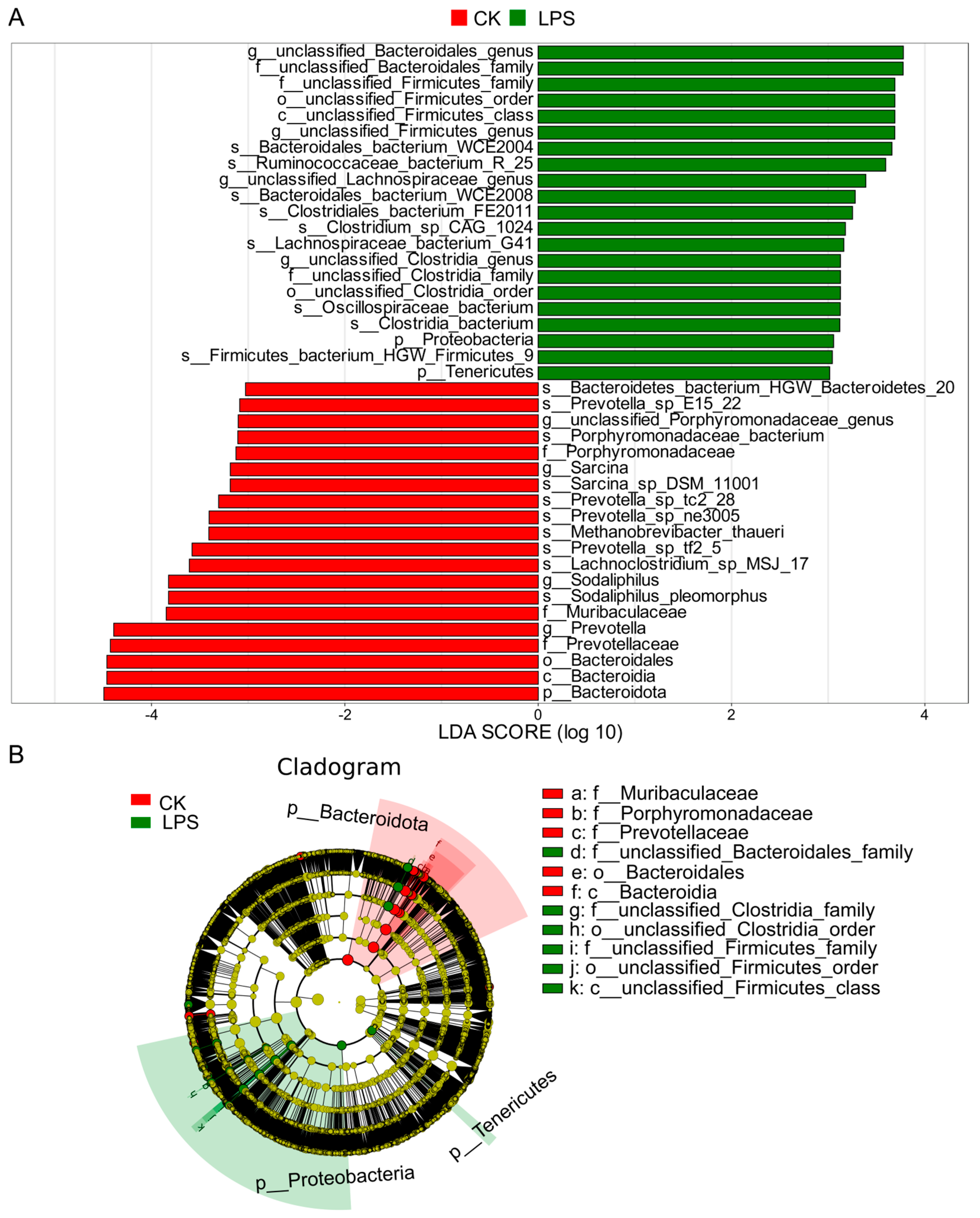Microorganisms 12 02242 g003