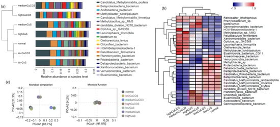 Microorganisms 12 02259 g003