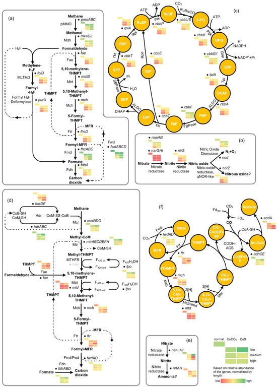 Microorganisms 12 02259 g005
