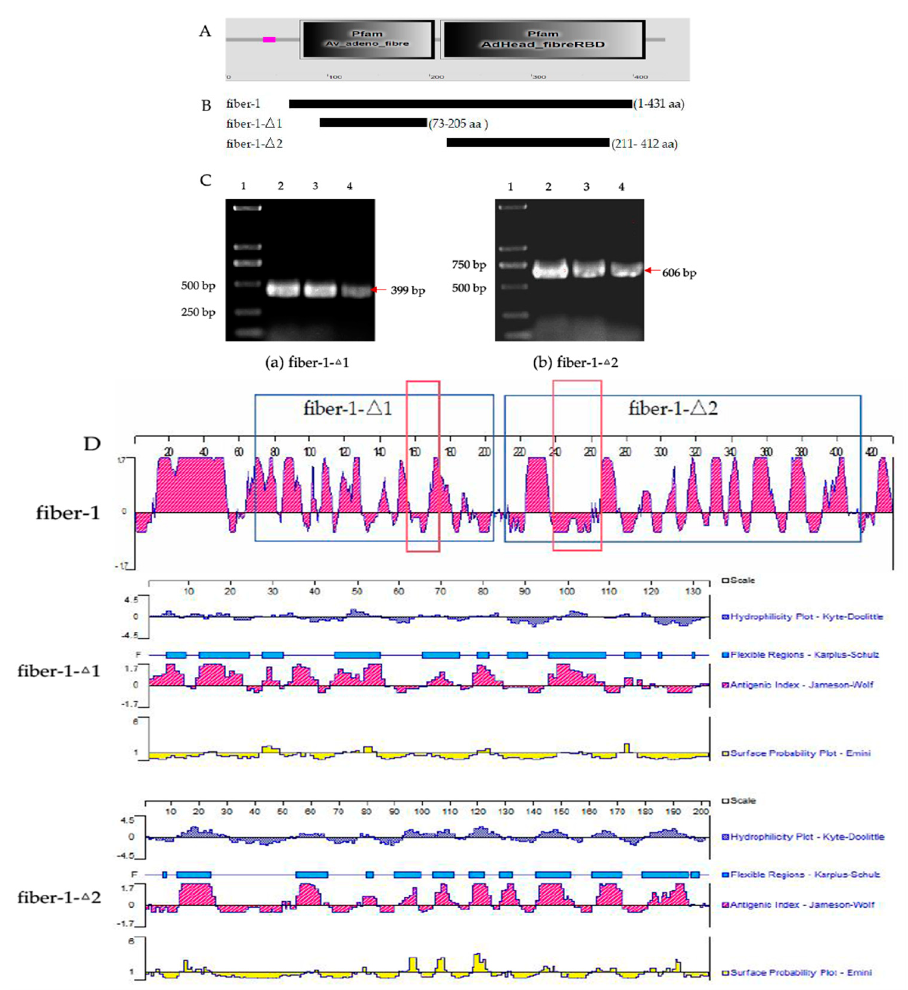 Microorganisms 12 02265 g001 Microorganisms 12 02265 g001