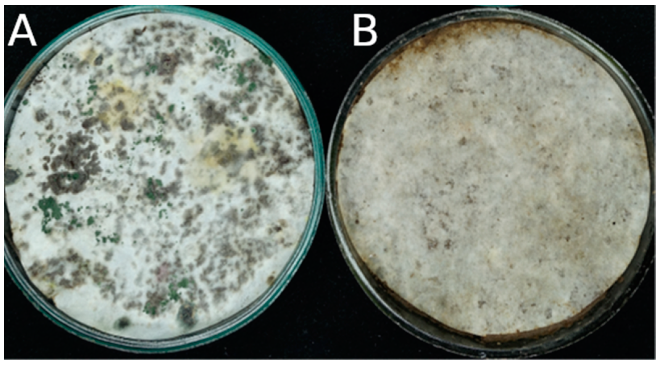Microorganisms 12 02276 g001