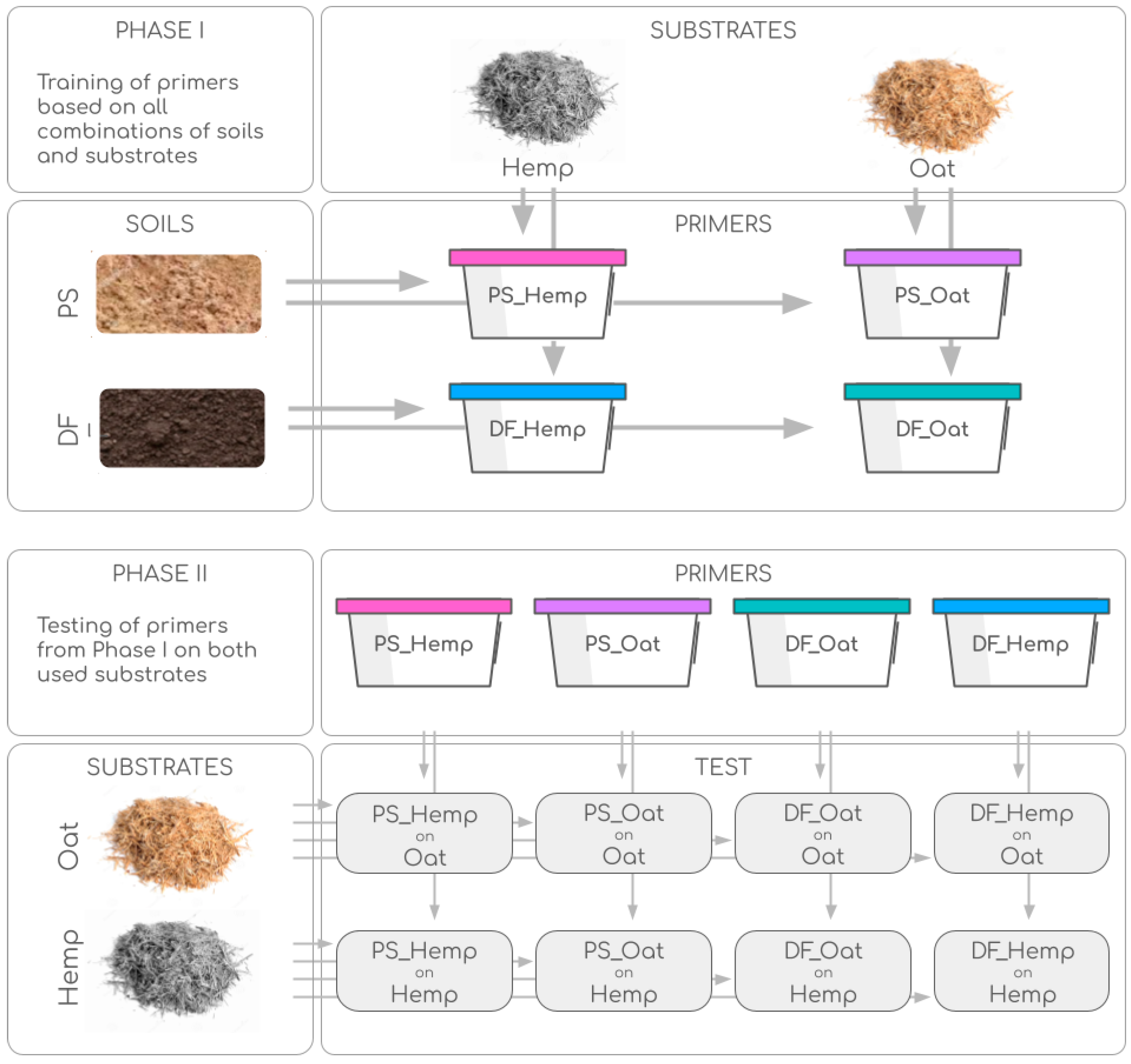 Microorganisms 12 02276 g002