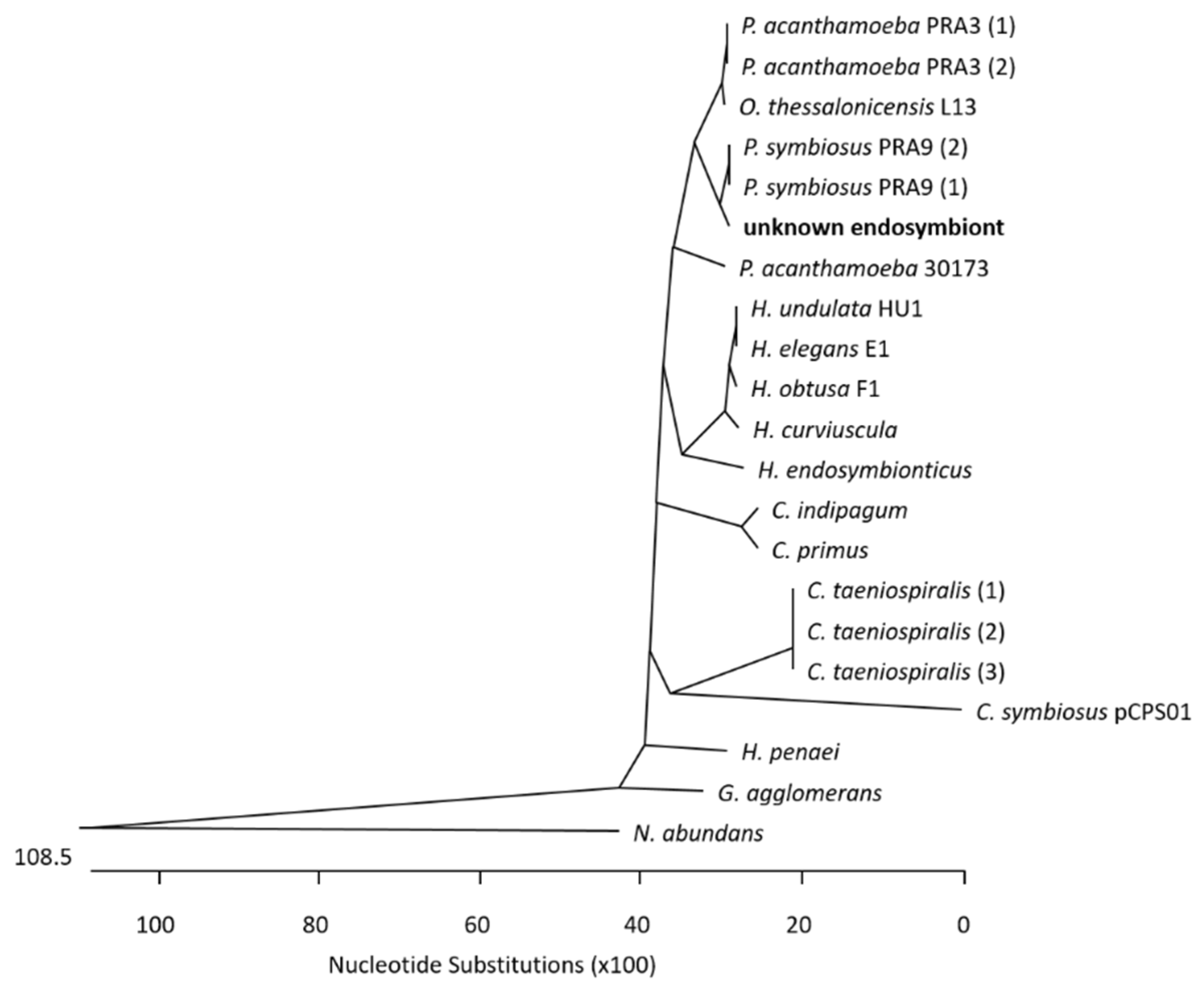 Microorganisms 12 02292 g001 Microorganisms 12 02292 g001