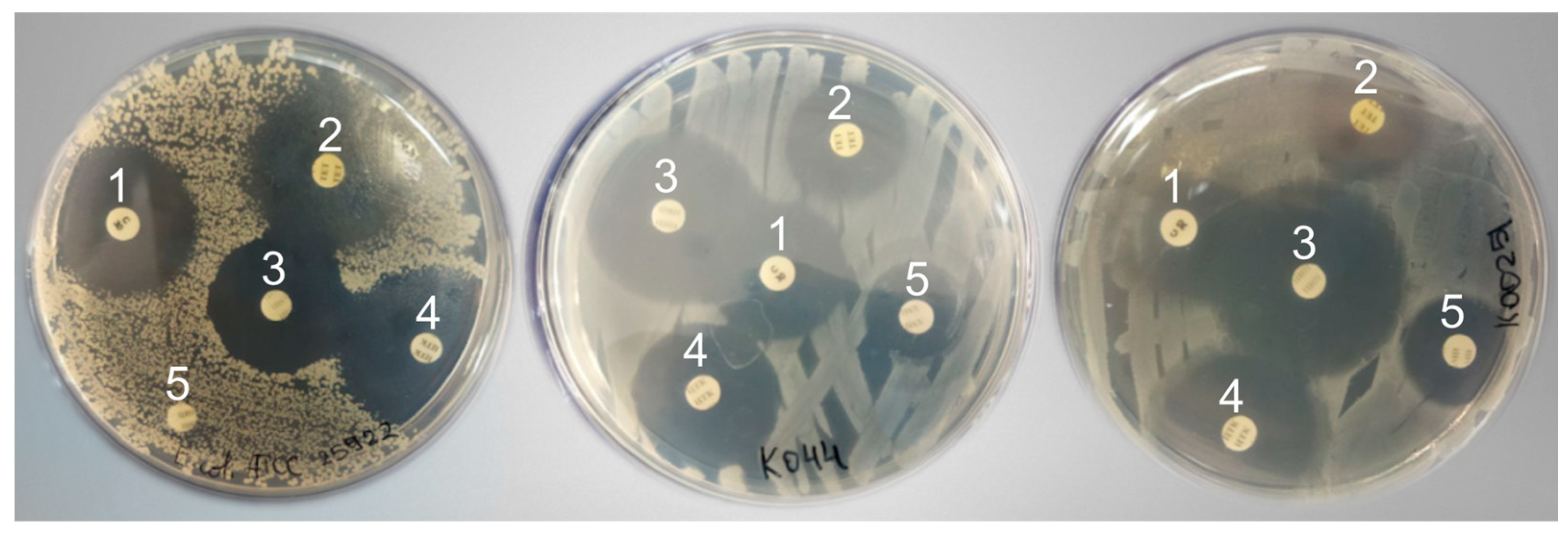 Microorganisms 12 02308 g005