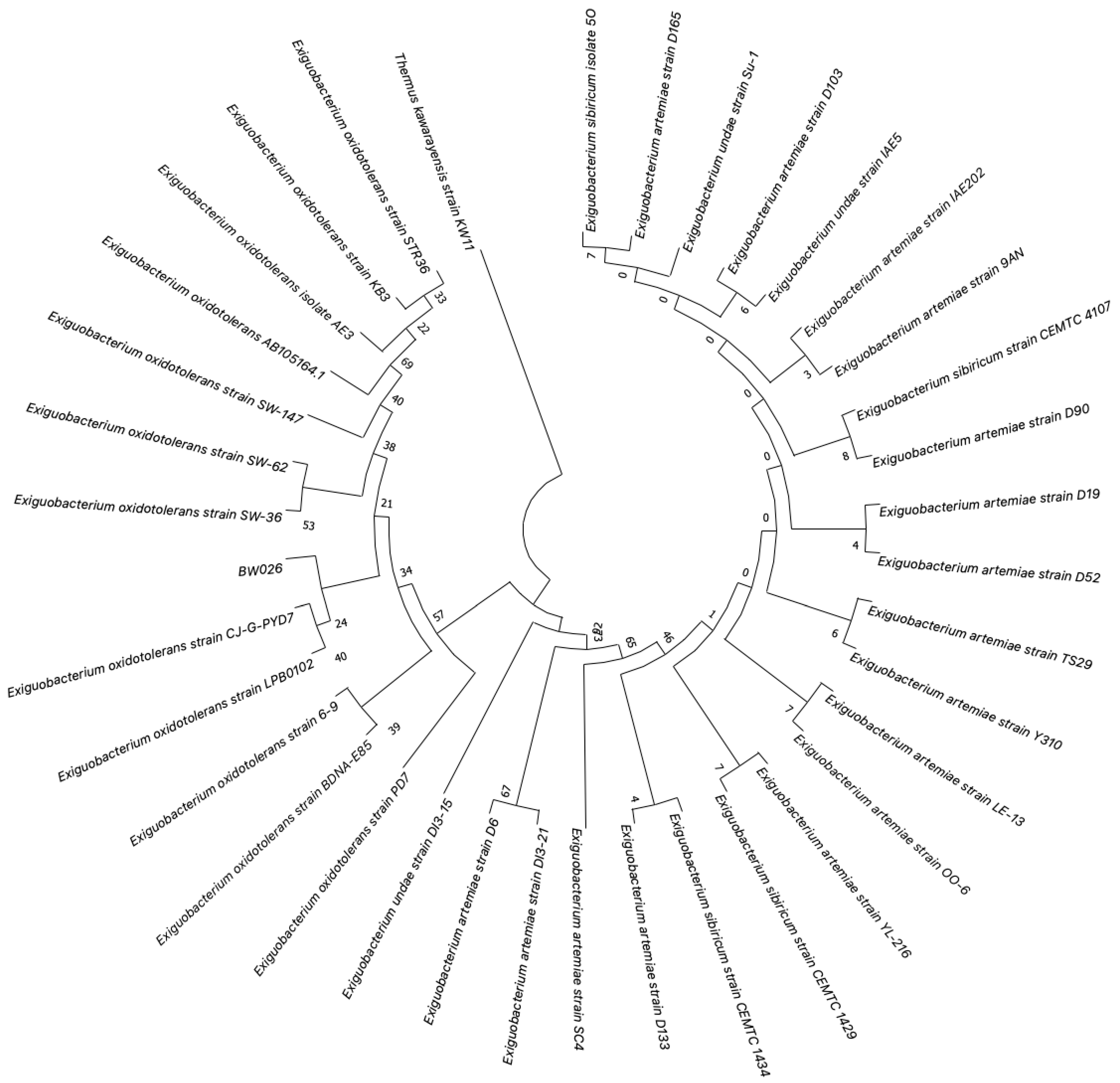 Microorganisms 12 02311 g002