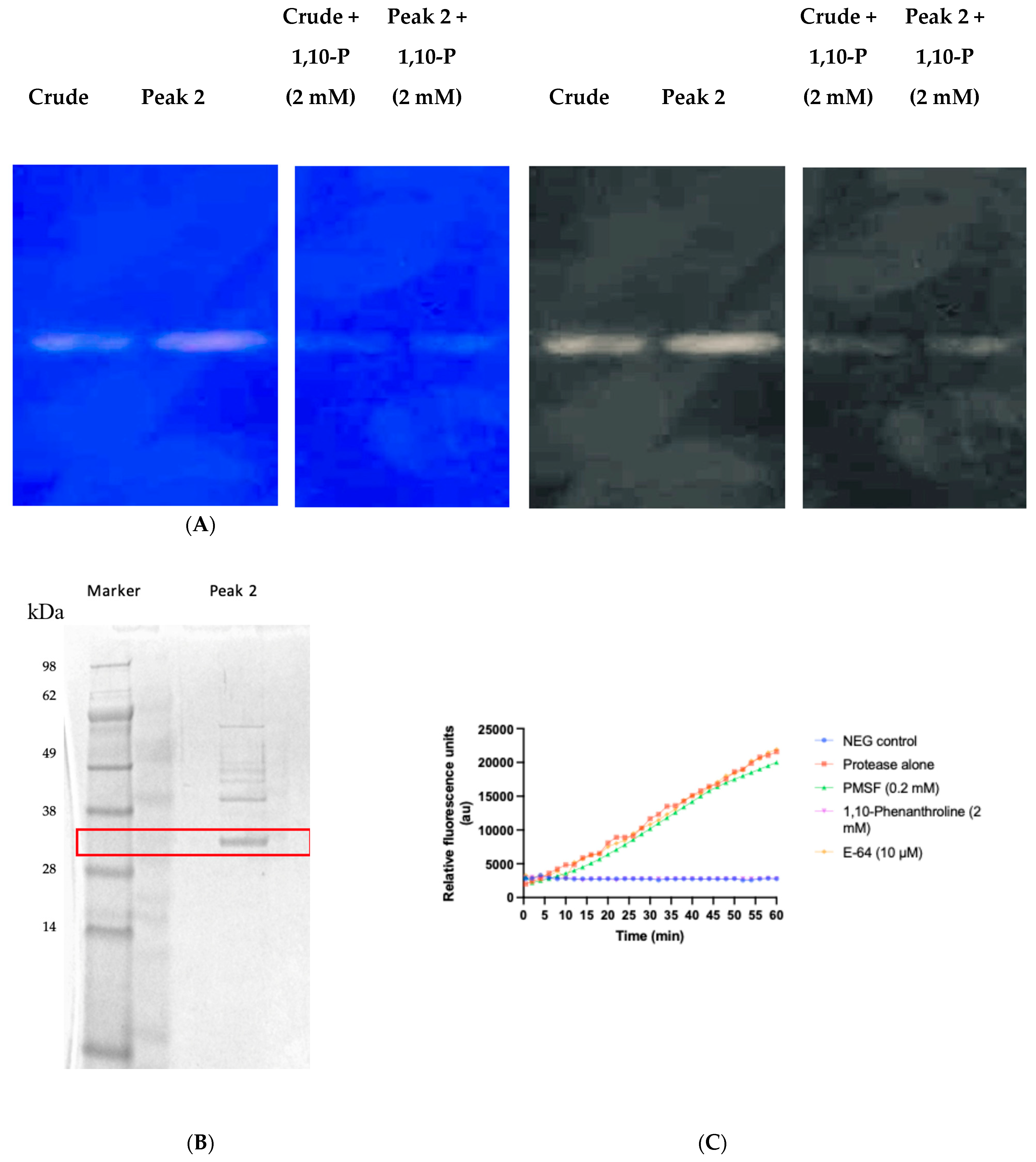 Microorganisms 12 02311 g004
