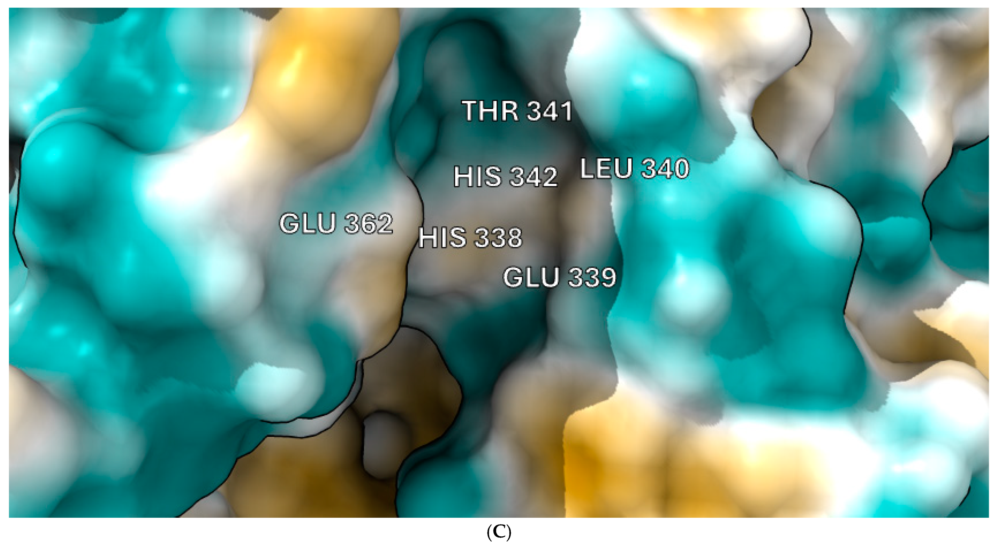 Microorganisms 12 02311 g006b