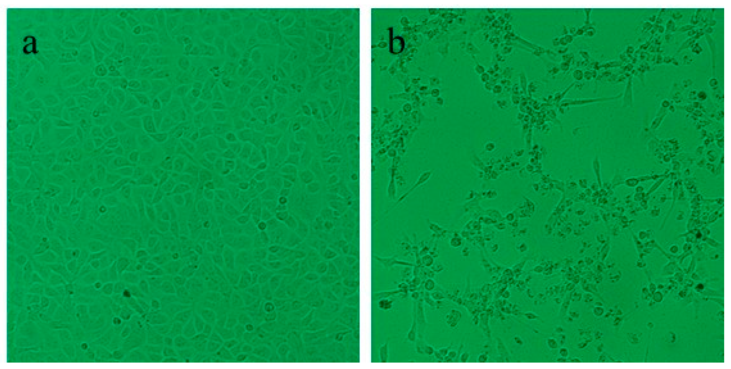Microorganisms 12 02329 g004