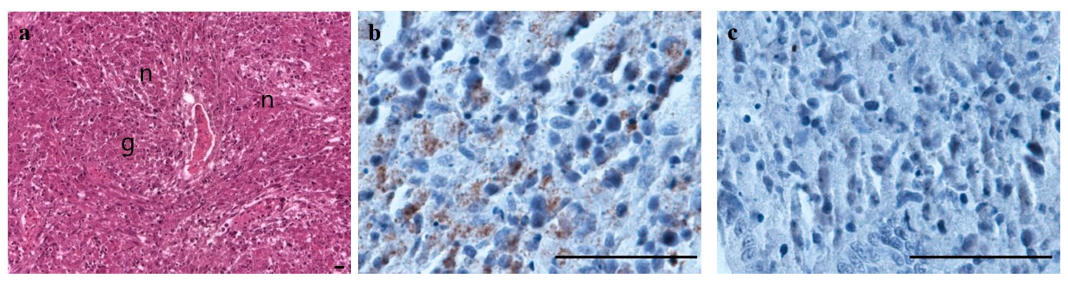 Microorganisms 12 02329 g007