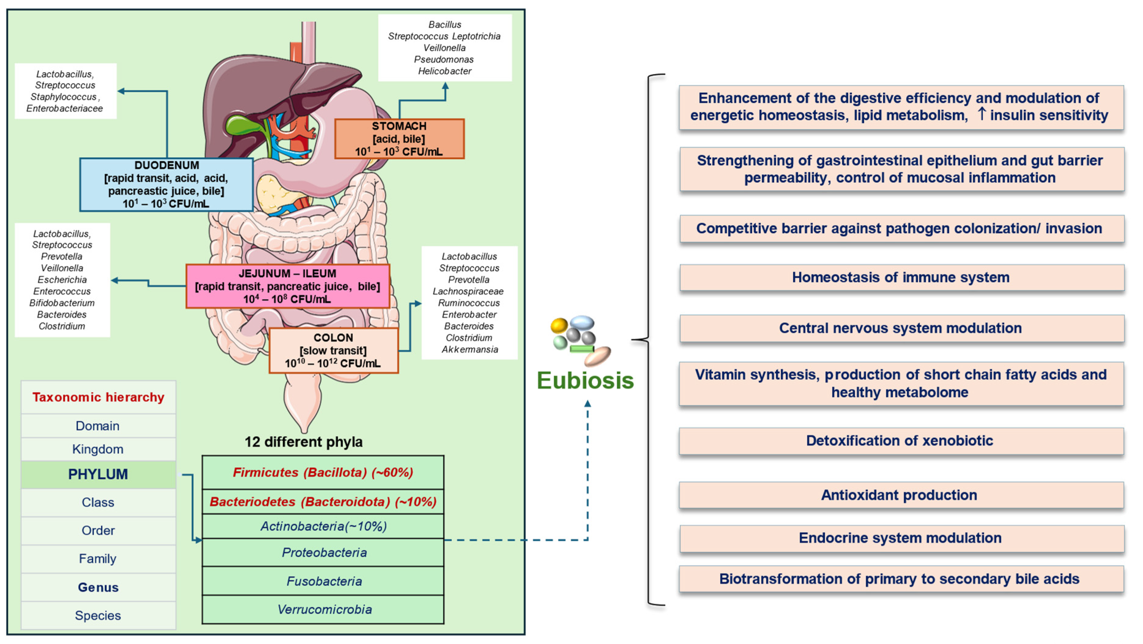 Microorganisms 12 02333 g001 Microorganisms 12 02333 g001