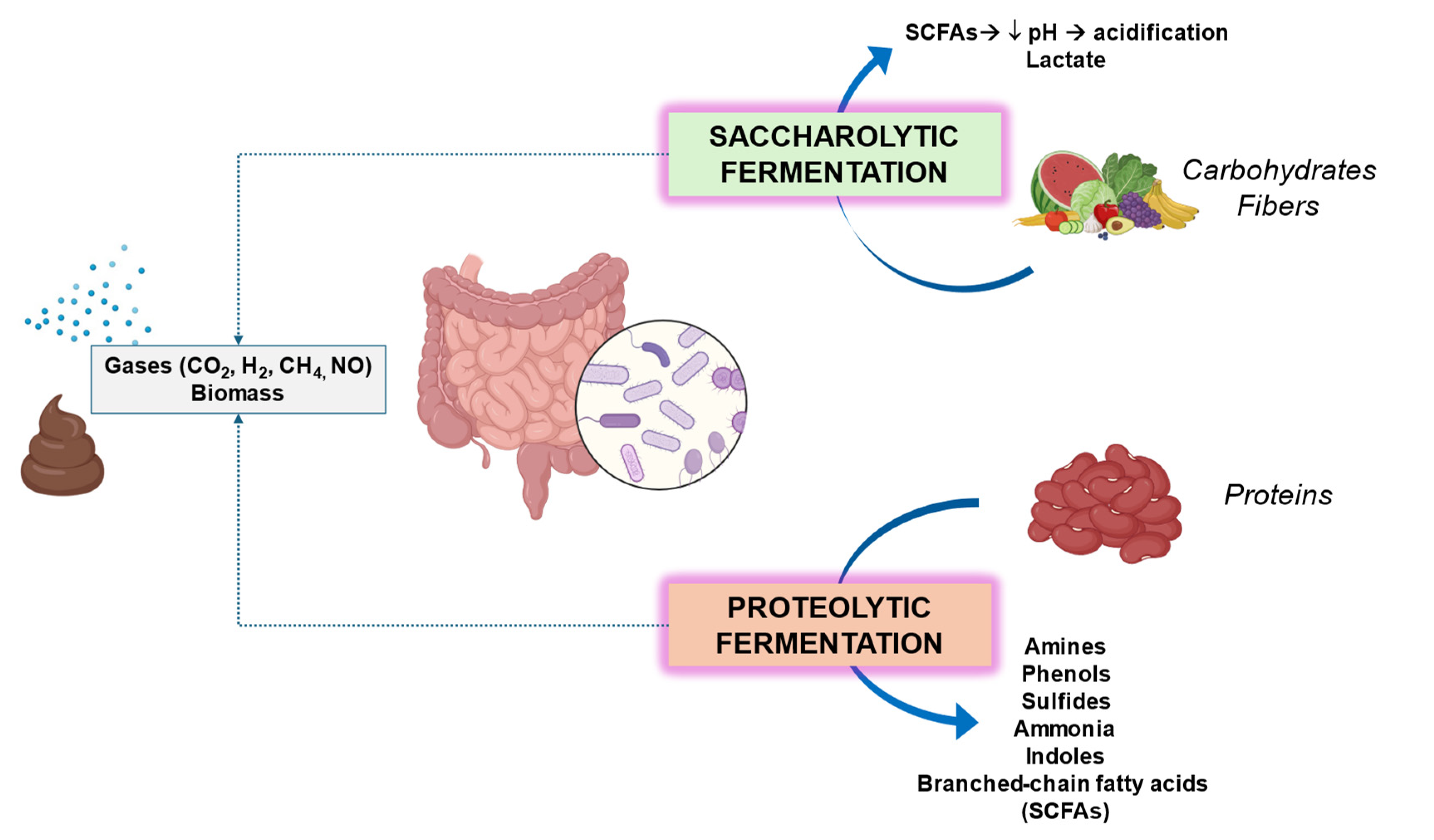 Microorganisms 12 02333 g002 Microorganisms 12 02333 g002