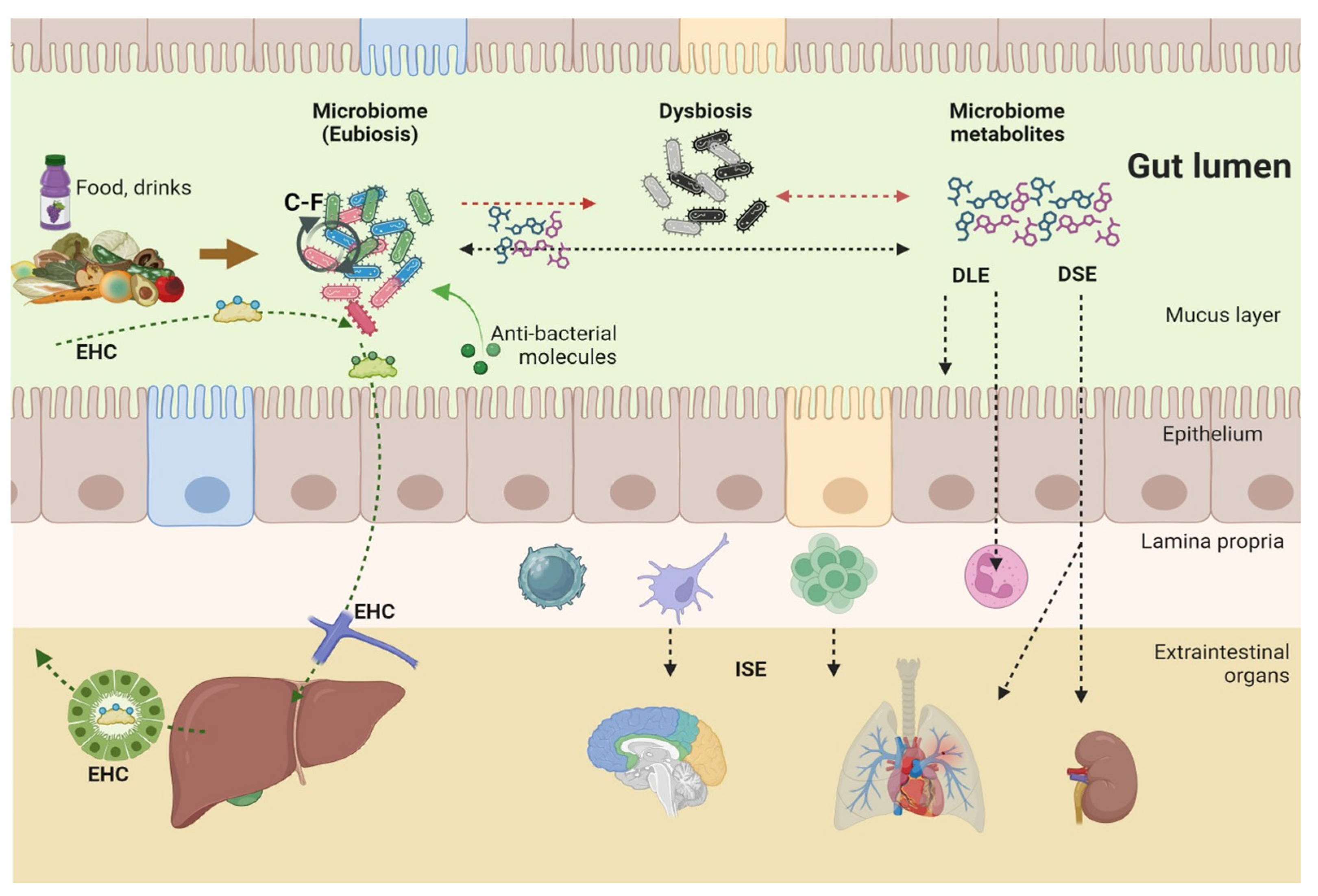 Microorganisms 12 02333 g003 Microorganisms 12 02333 g003