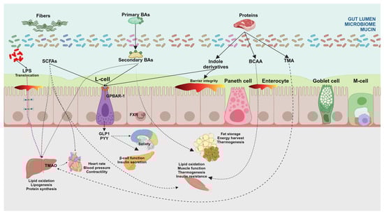 Microorganisms 12 02333 g004