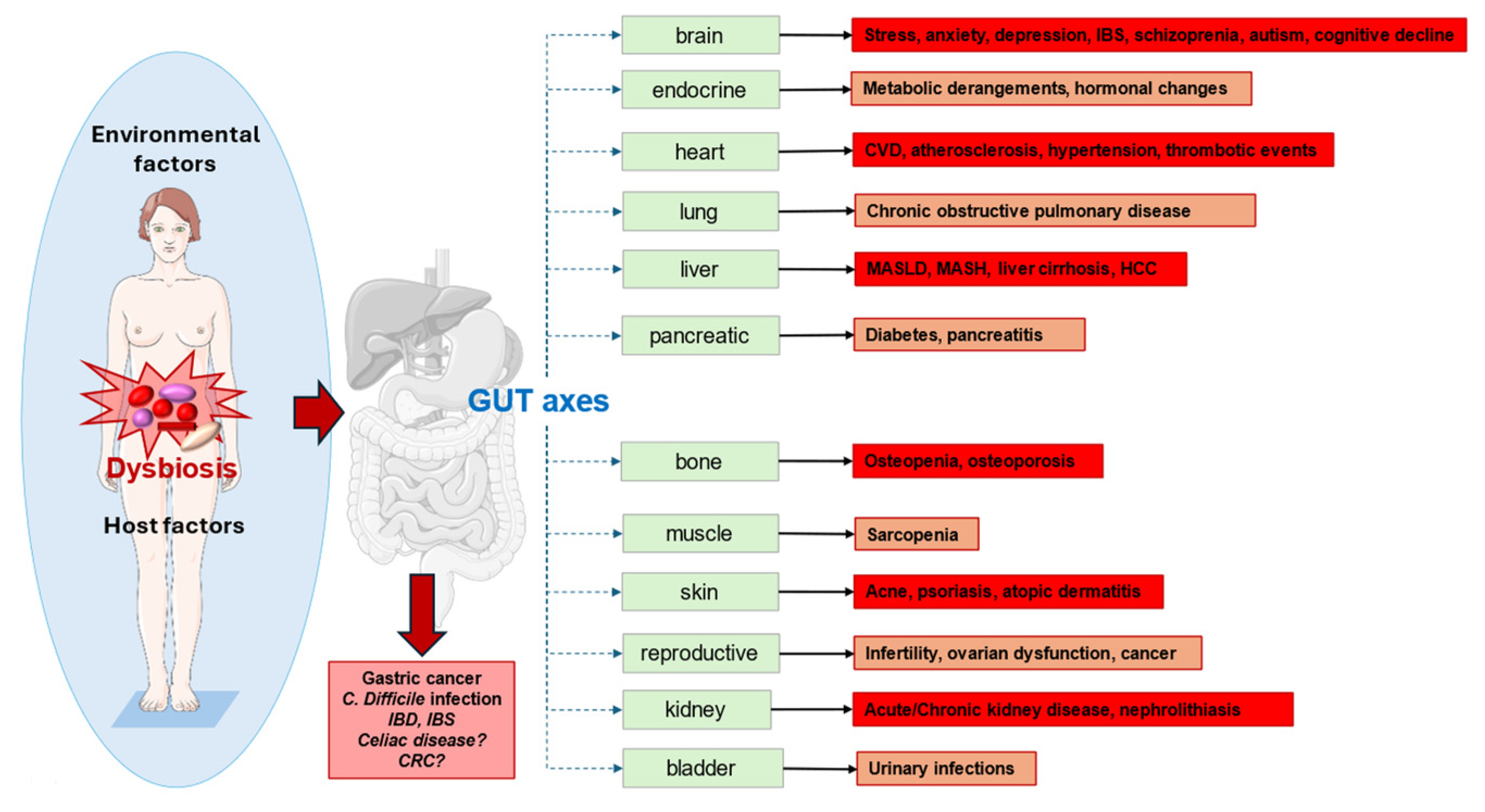 Microorganisms 12 02333 g006 Microorganisms 12 02333 g006