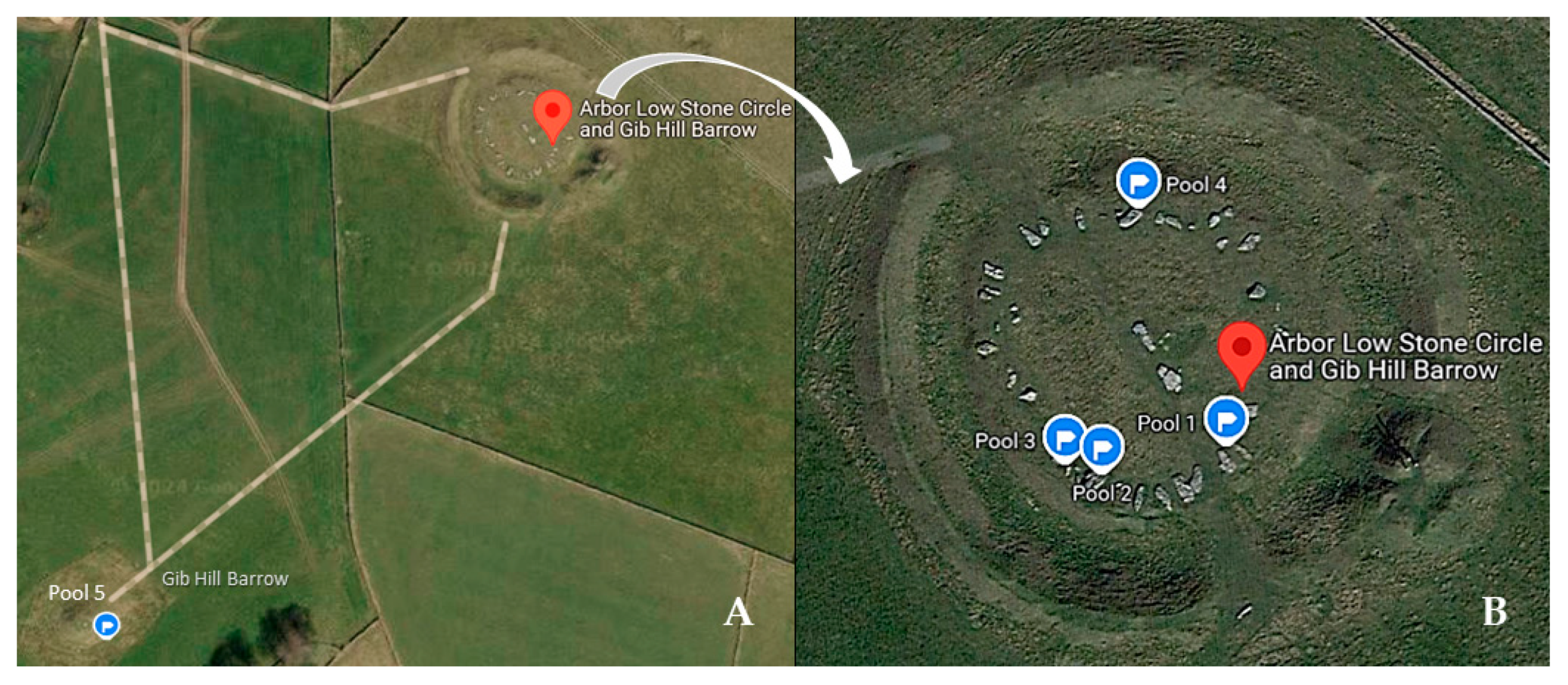 Microorganisms 12 02338 g001