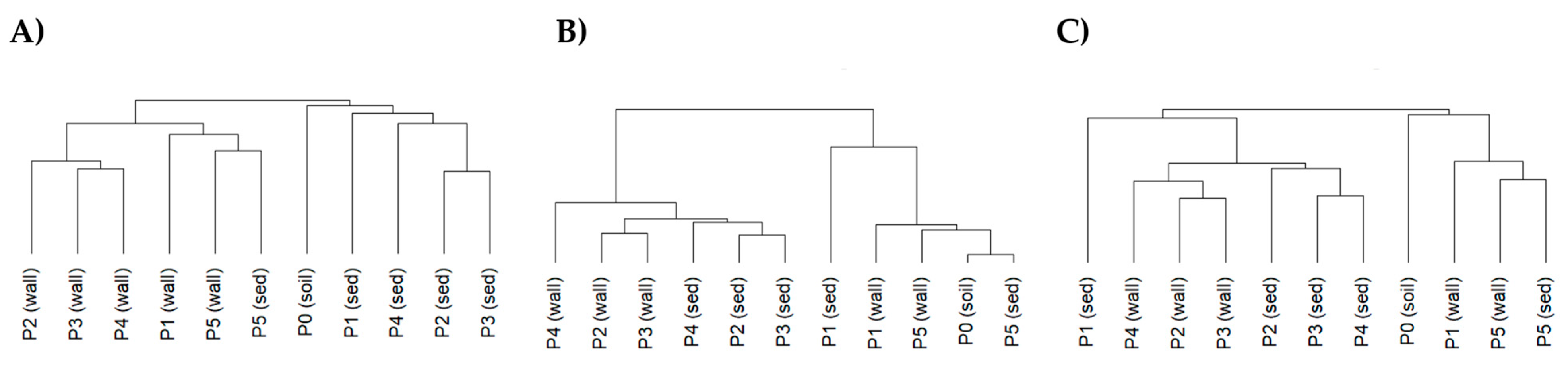 Microorganisms 12 02338 g011