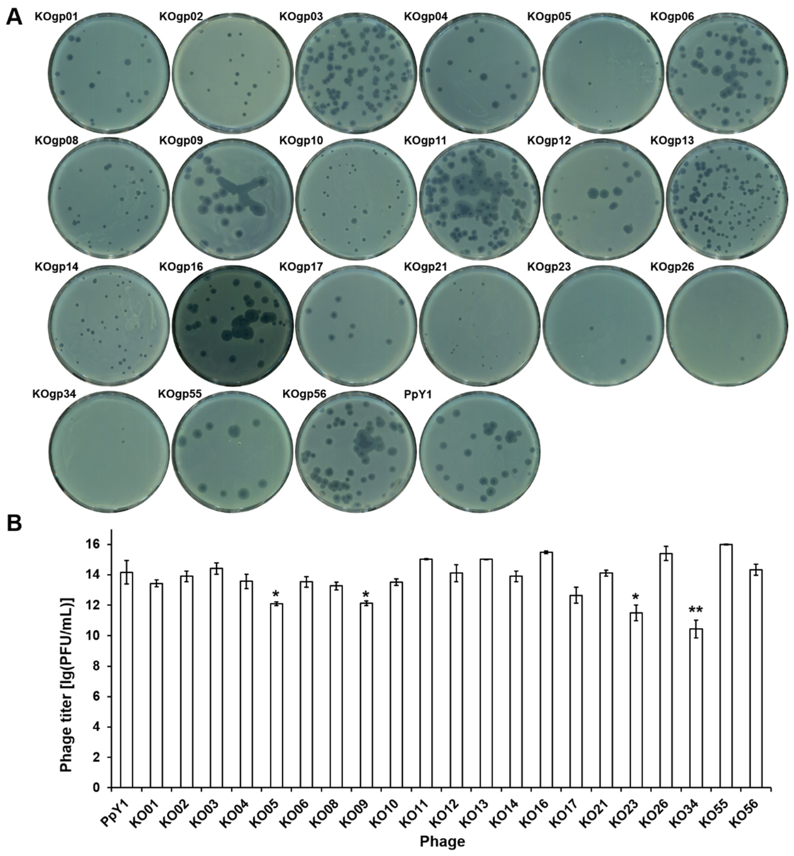 Microorganisms 12 02346 g004