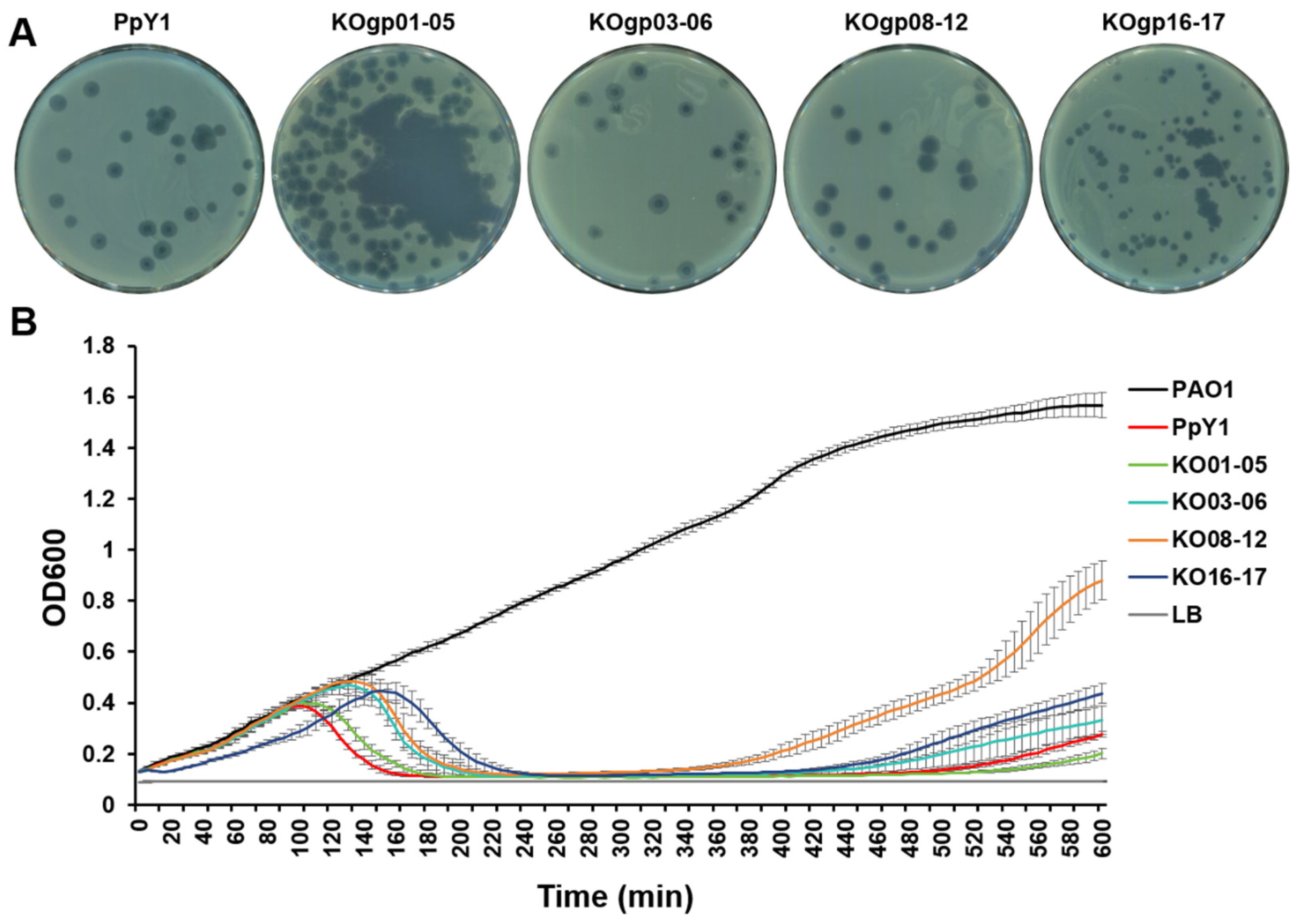 Microorganisms 12 02346 g006