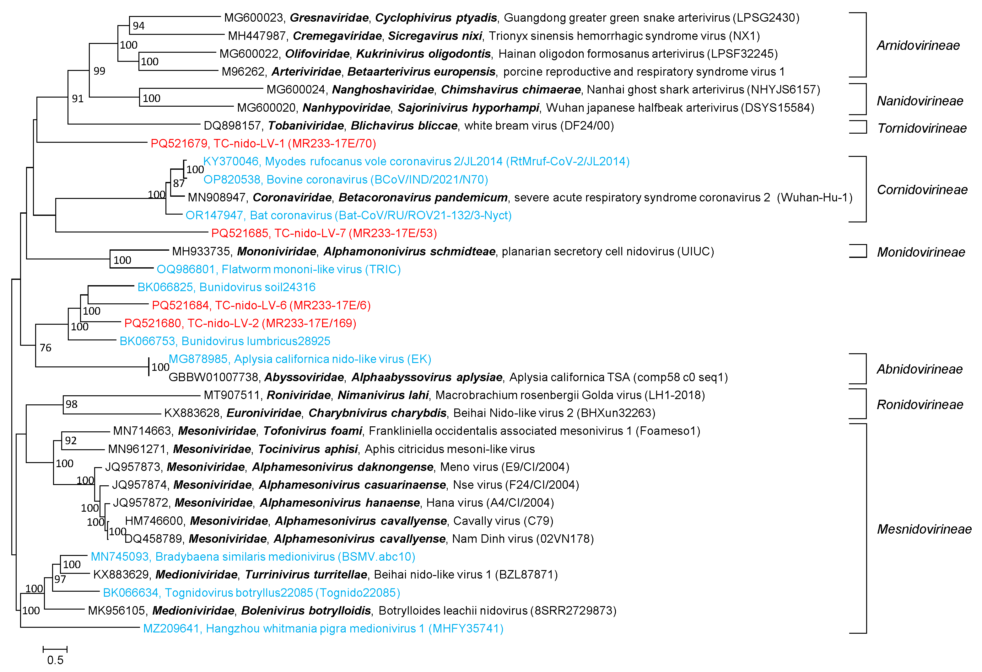 Microorganisms 12 02361 g009