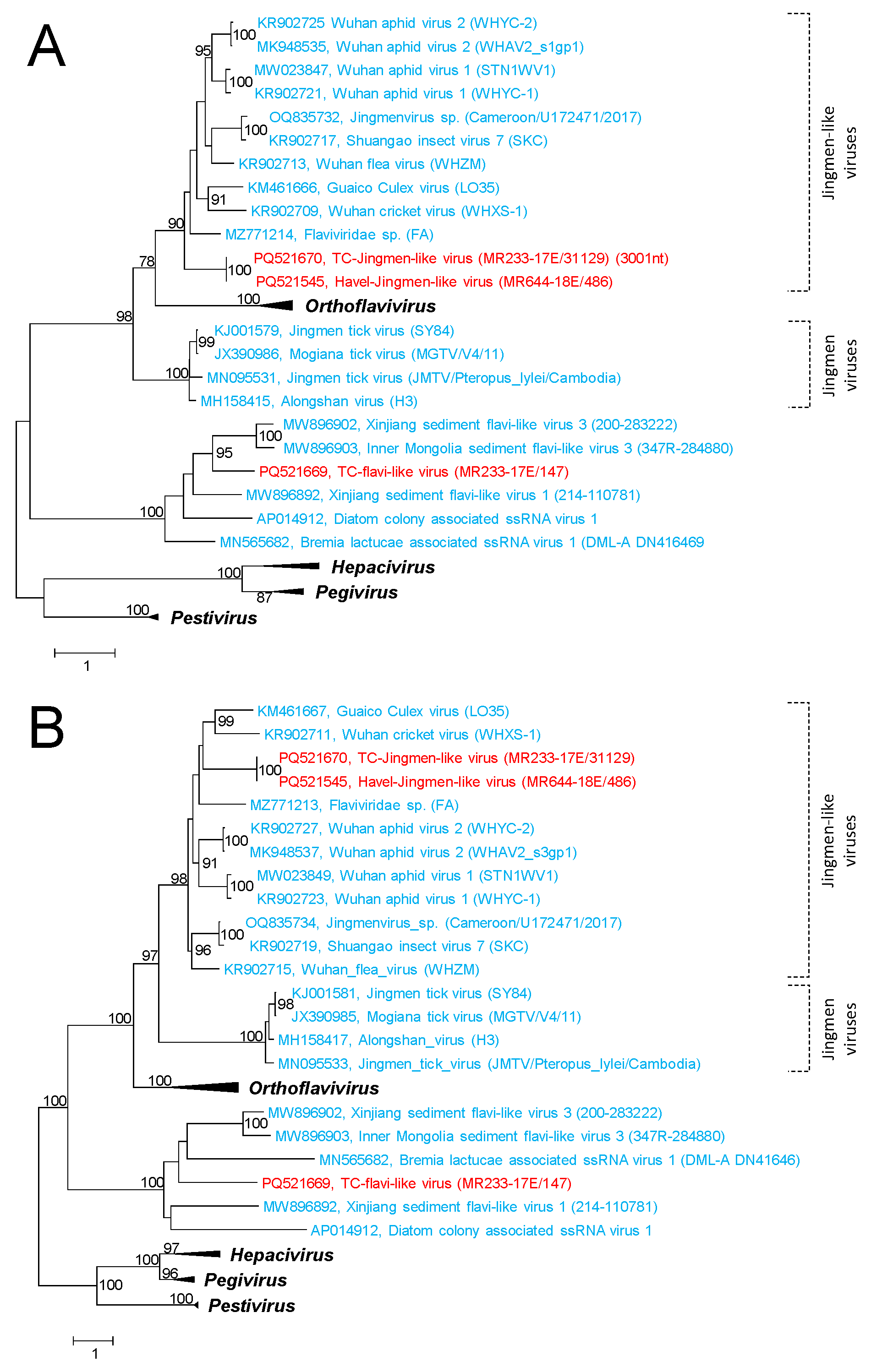 Microorganisms 12 02361 g010