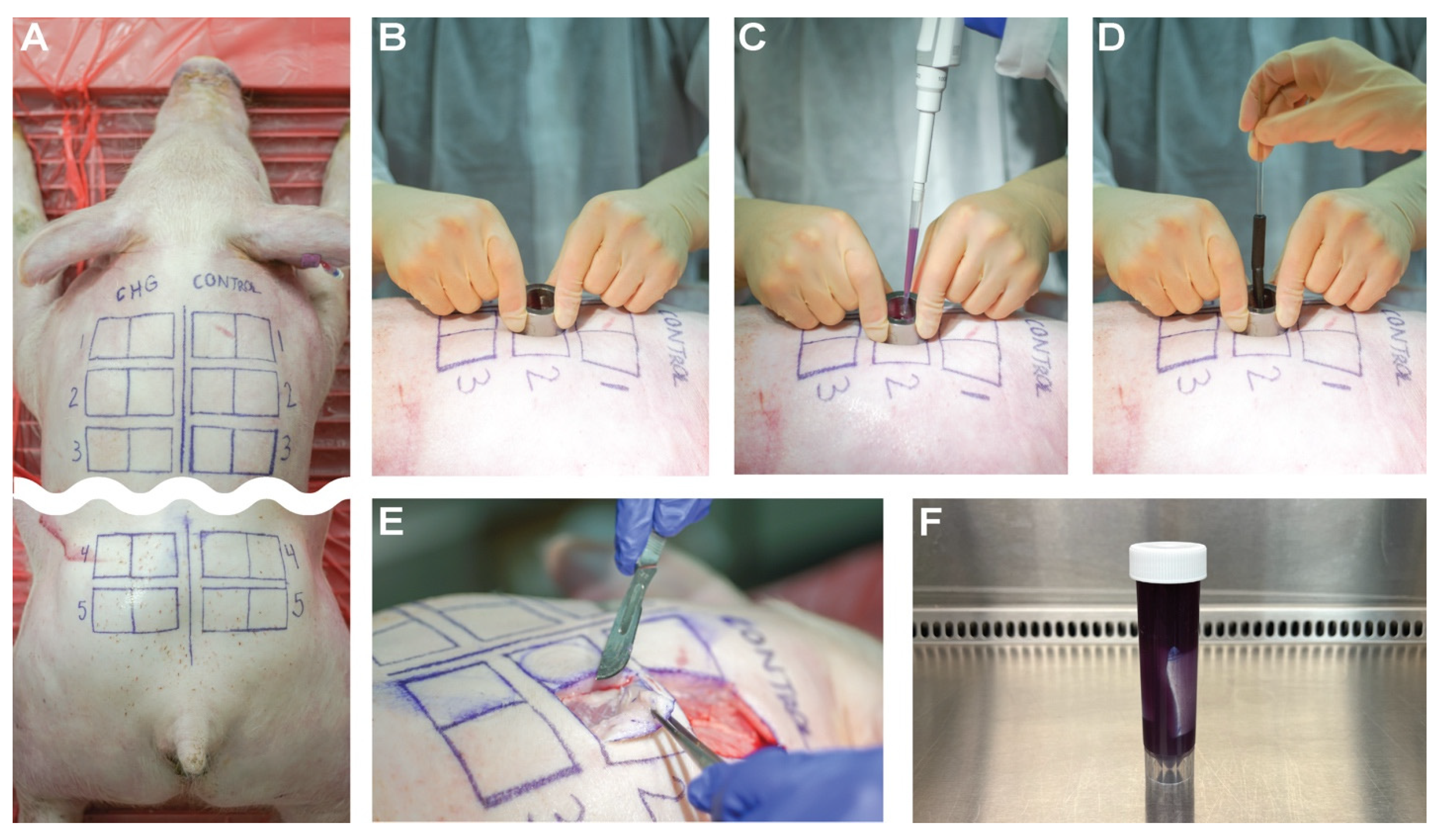 Microorganisms 12 02369 g001