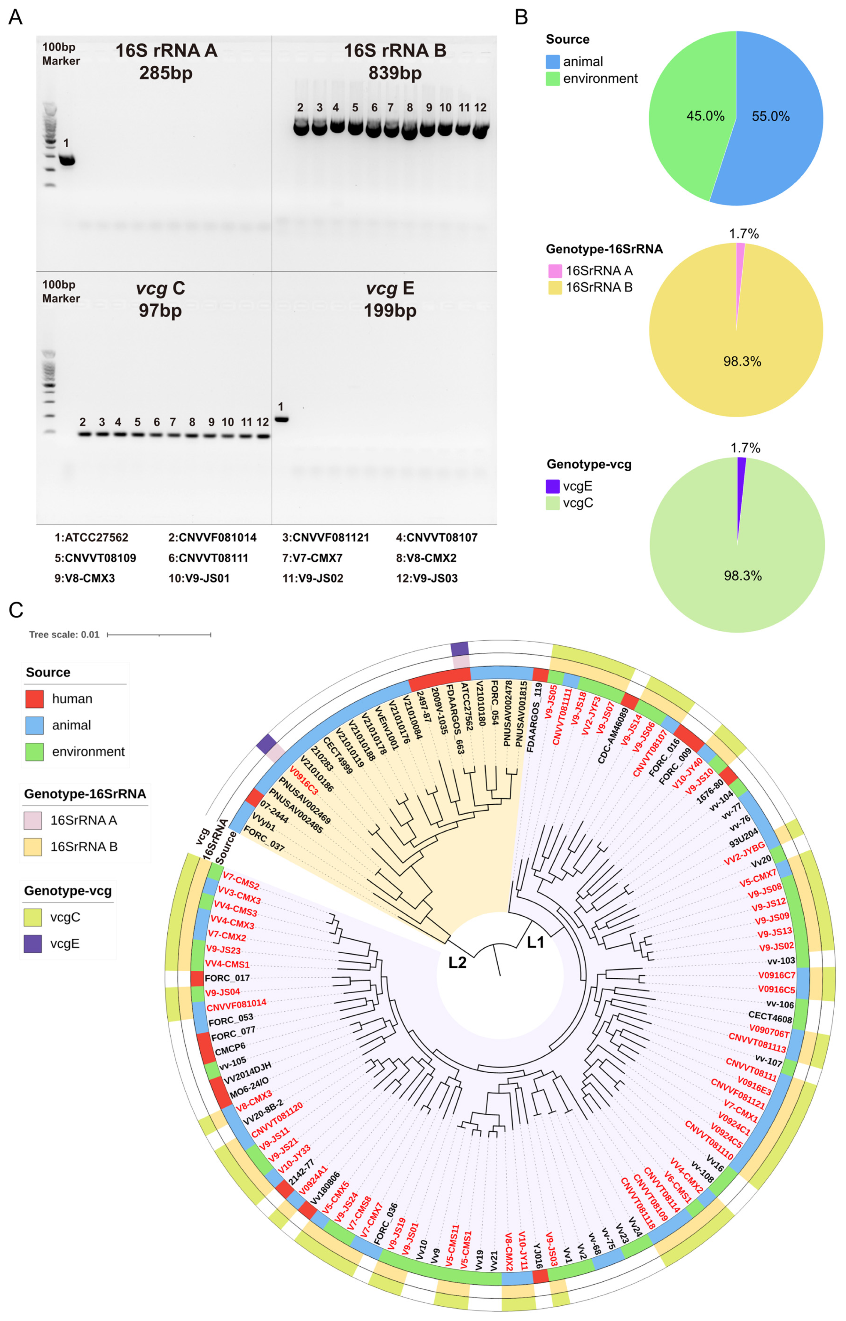 Microorganisms 12 02375 g001