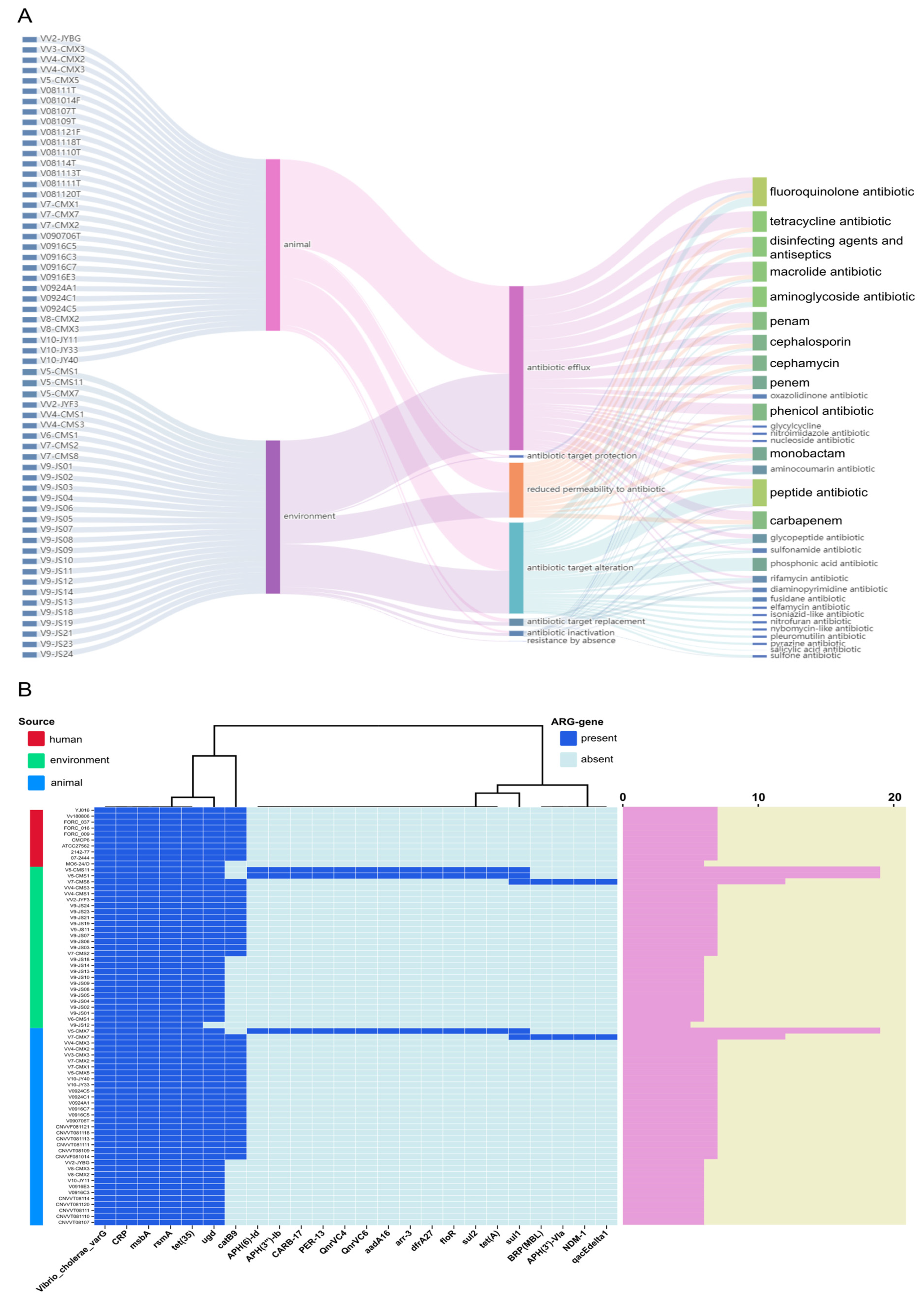 Microorganisms 12 02375 g002
