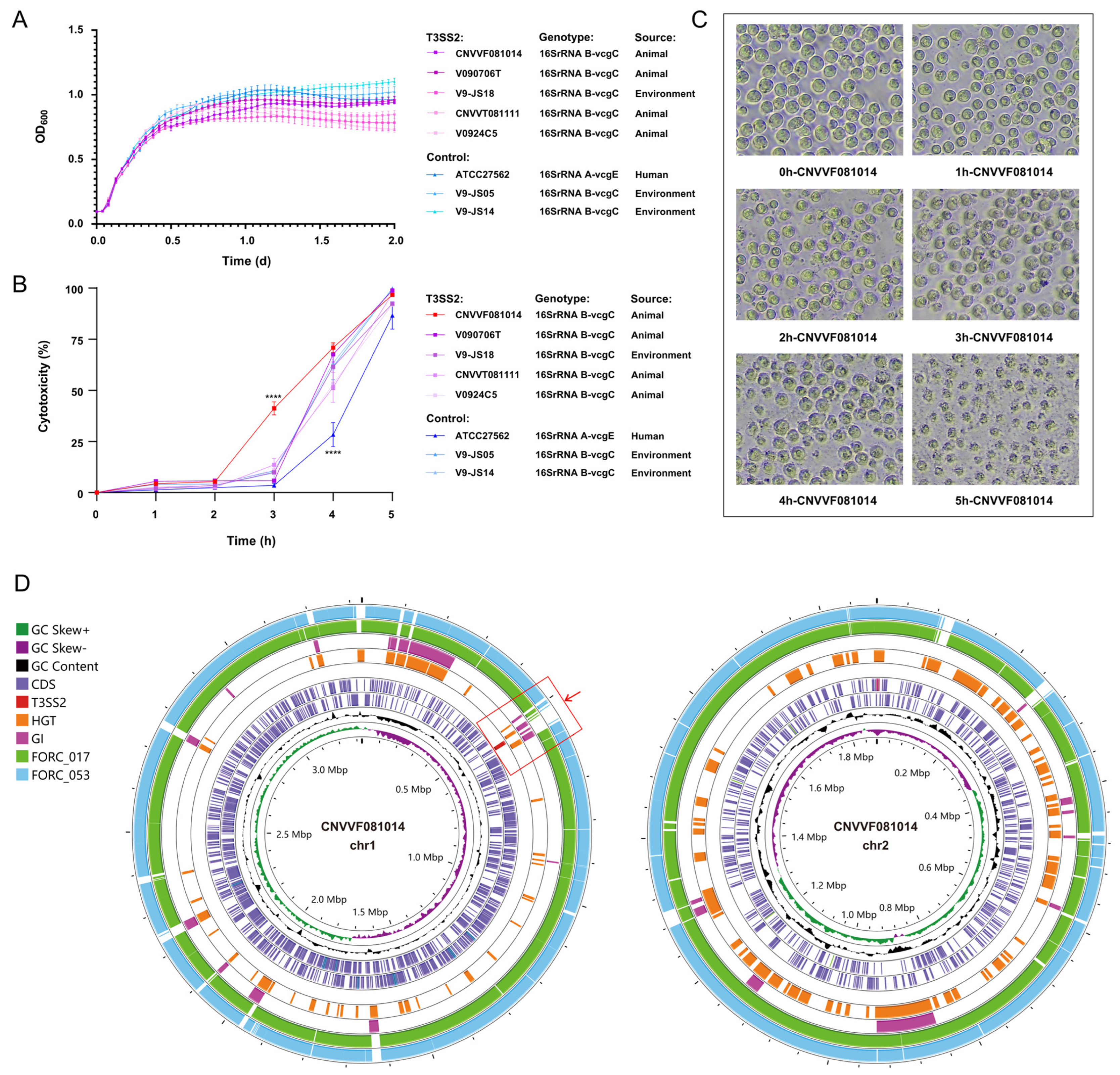 Microorganisms 12 02375 g004
