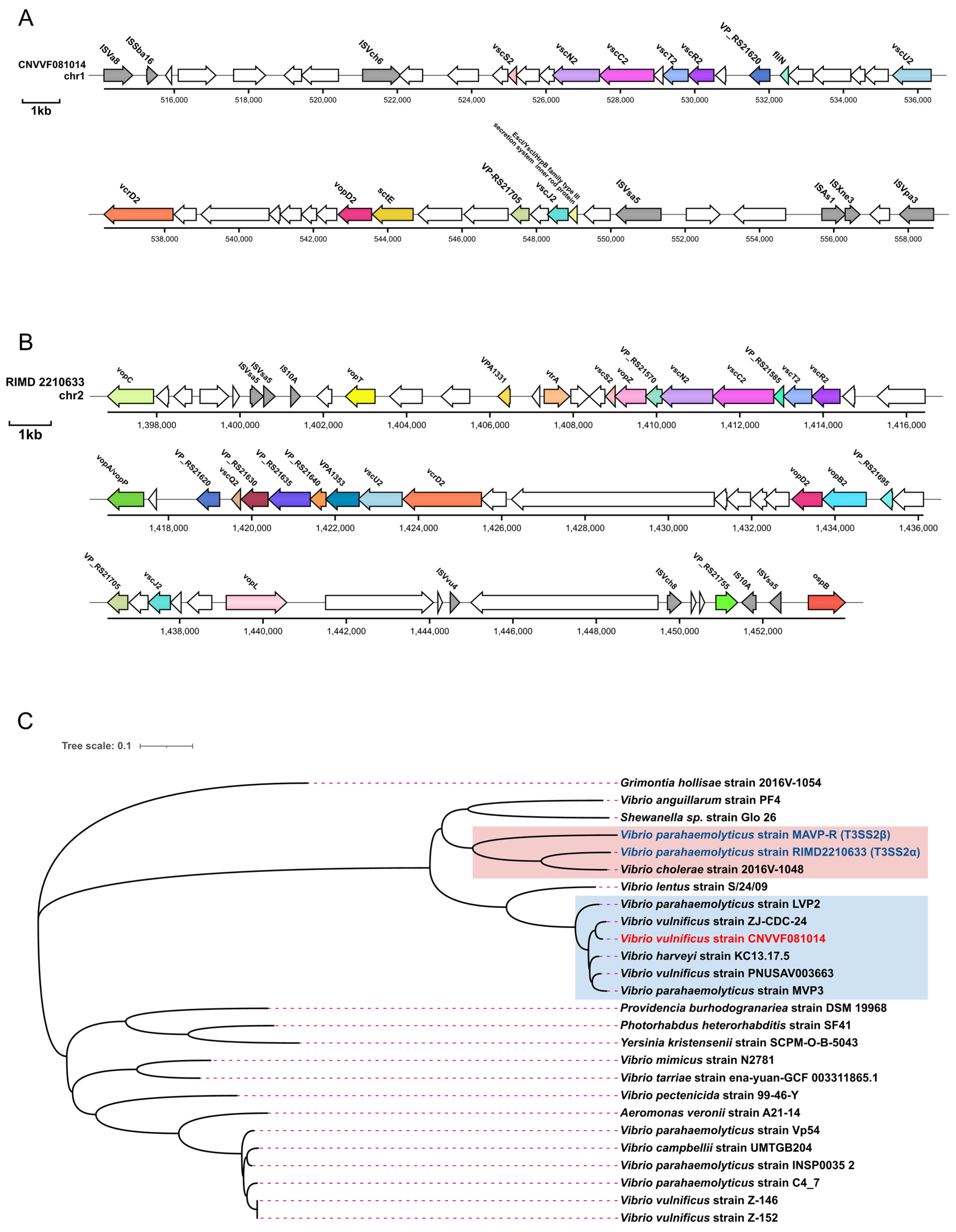 Microorganisms 12 02375 g005