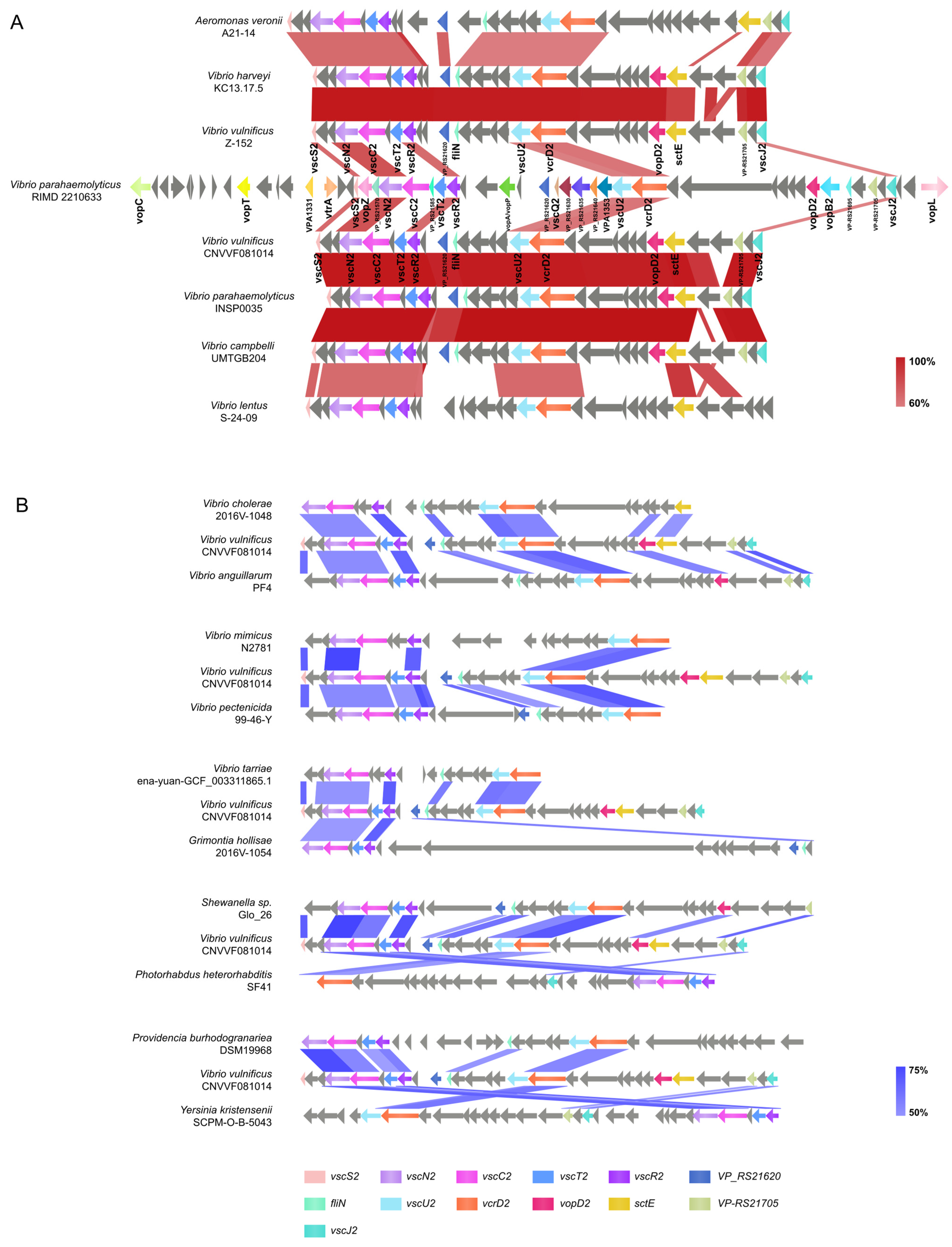 Microorganisms 12 02375 g006