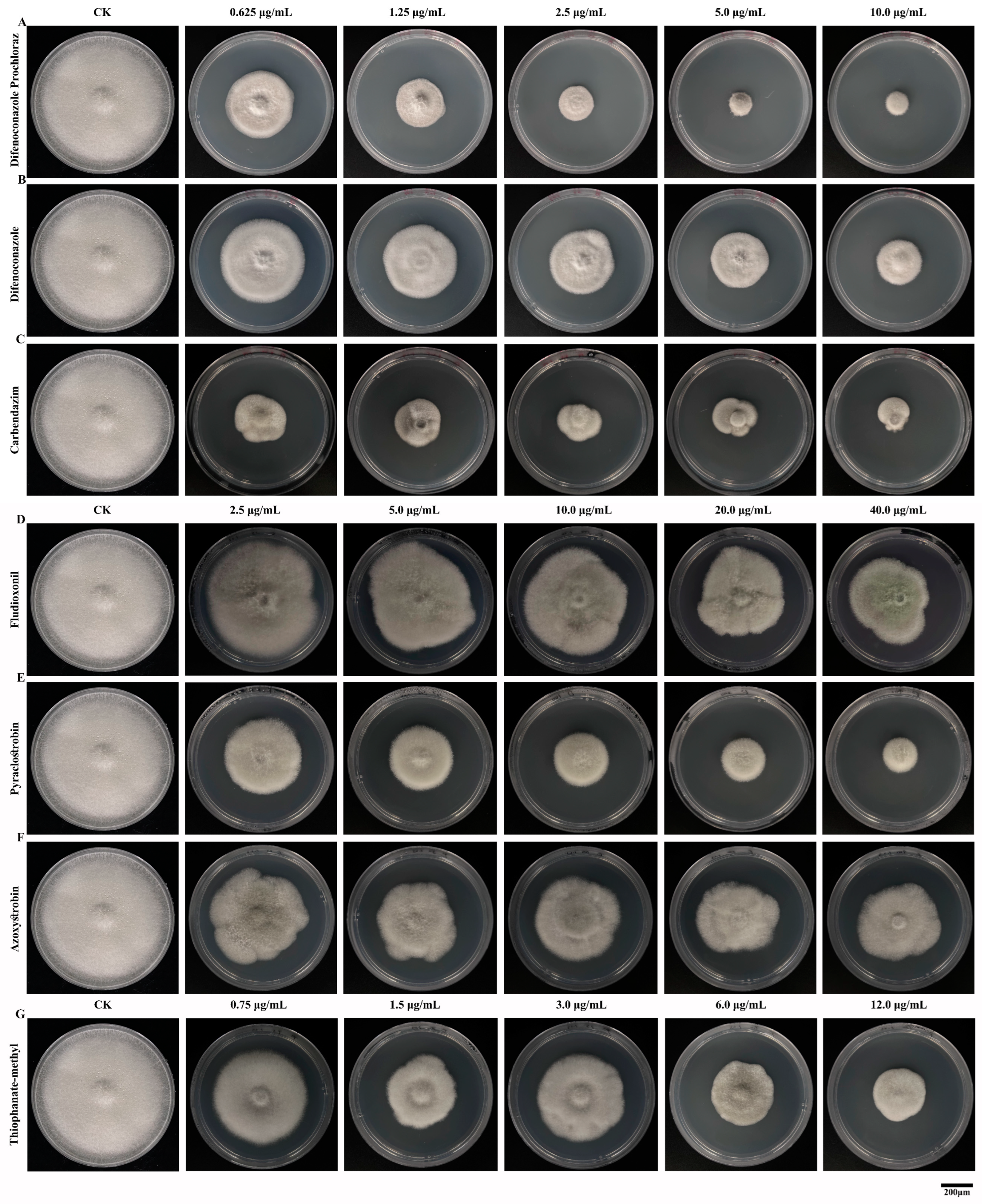 Microorganisms 12 02386 g005 Microorganisms 12 02386 g005