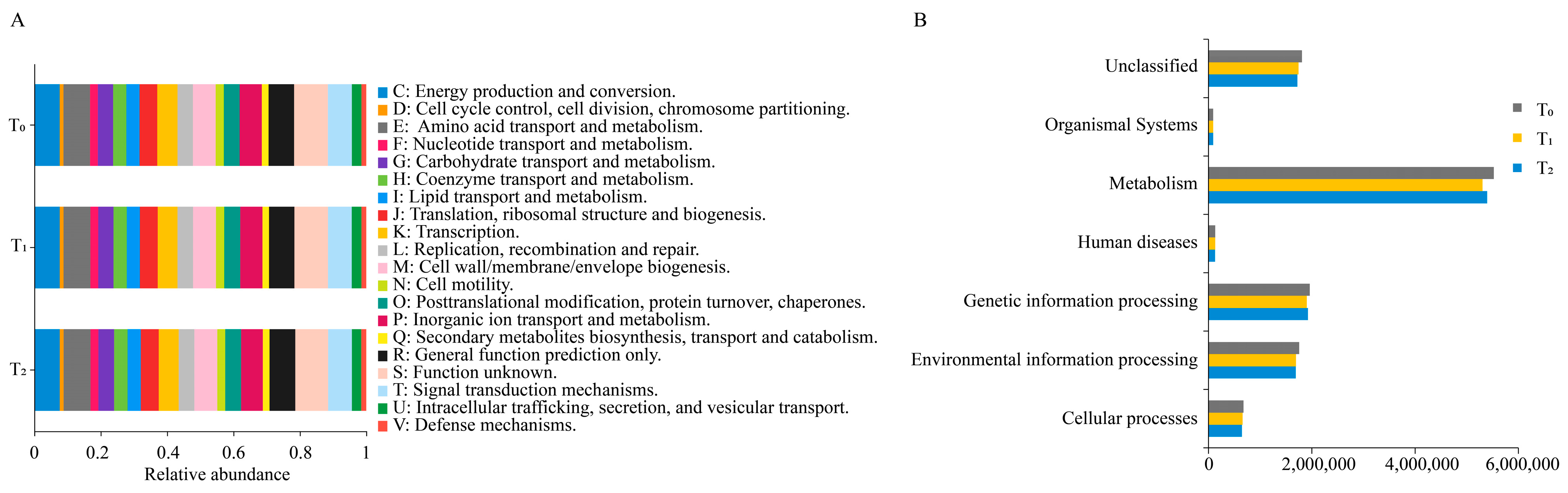 Microorganisms 12 02399 g004